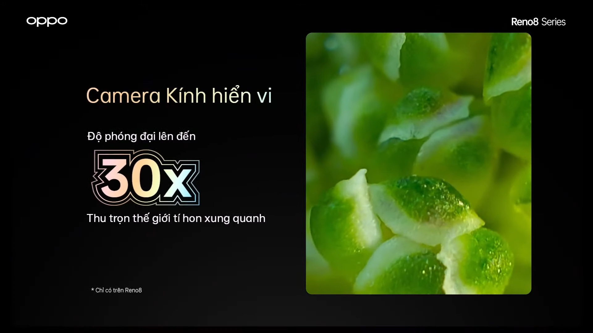 ra mat oppo reno8 anh 6