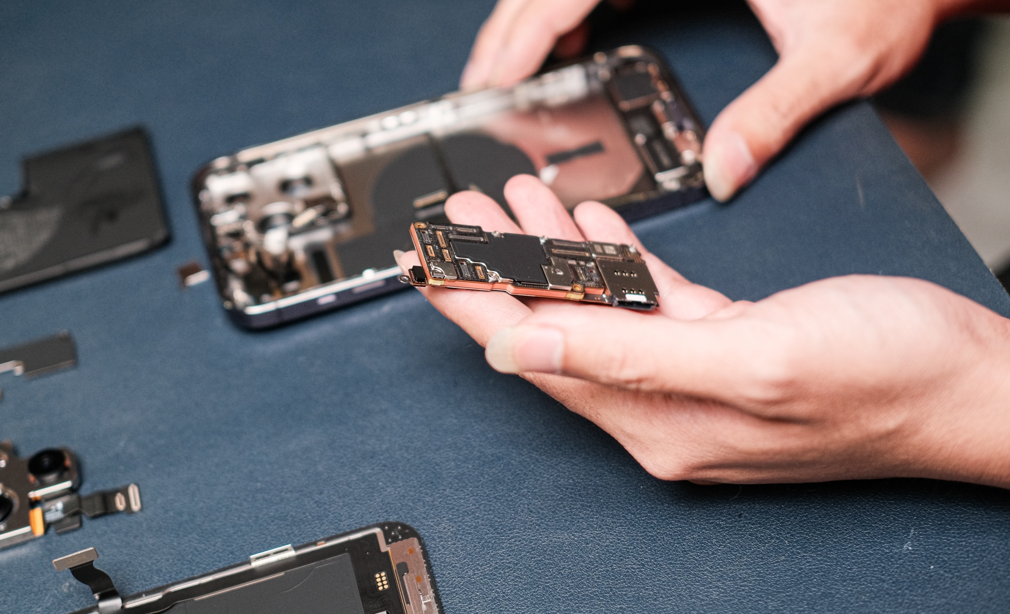 iphone 14 de hong anh 13