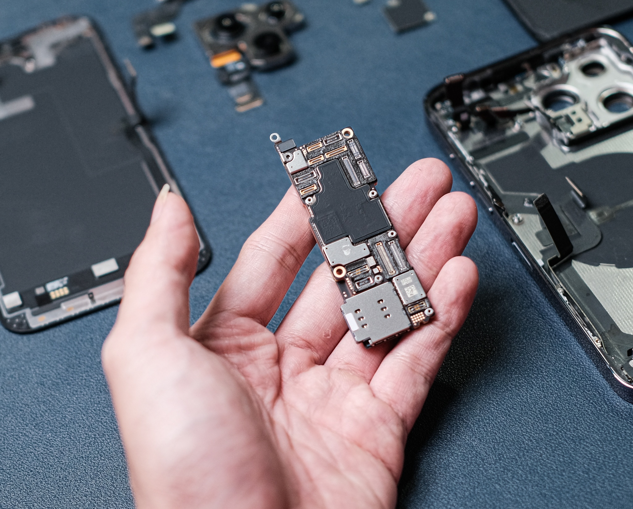 iphone 14 de hong anh 14