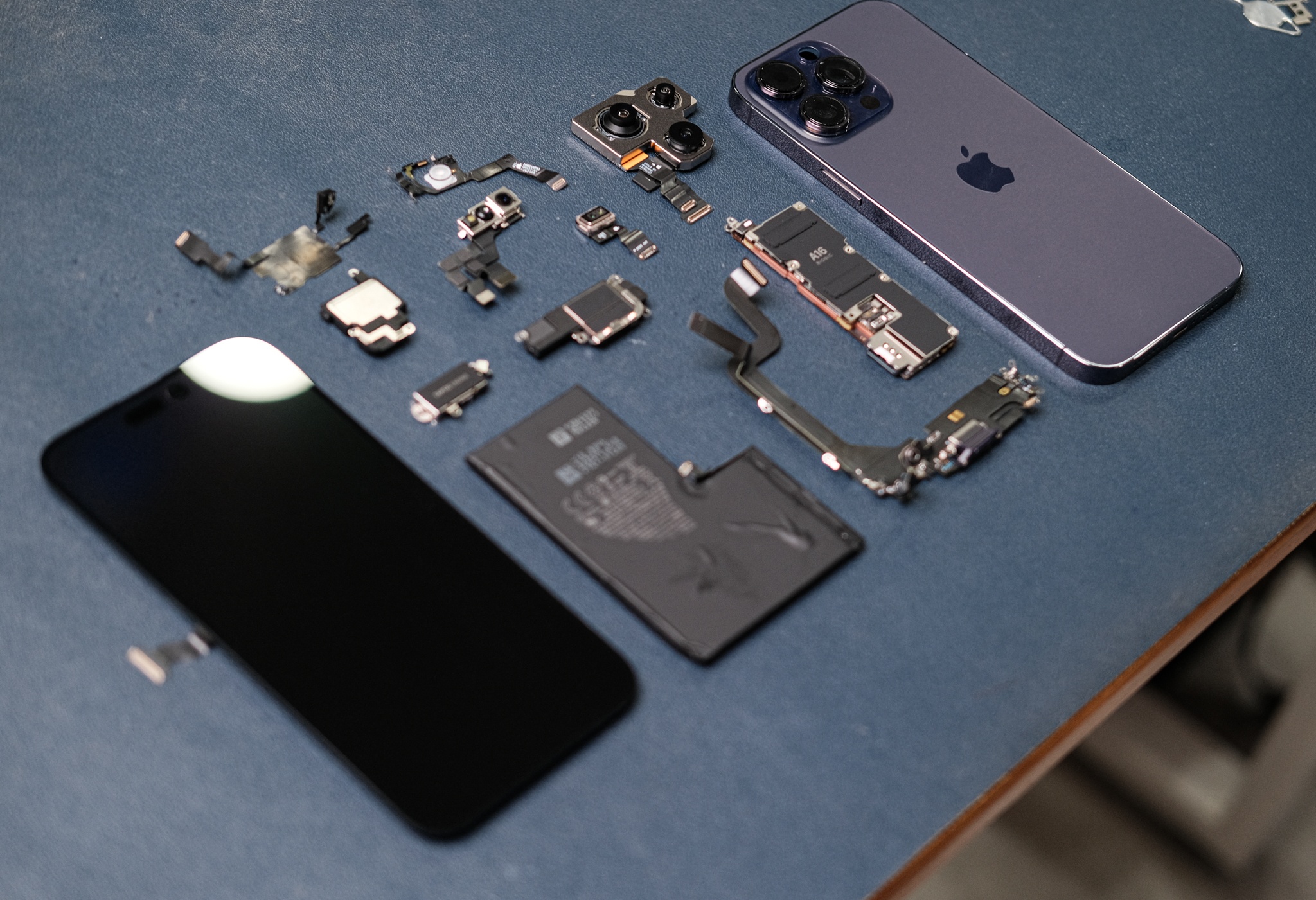 iphone 14 de hong anh 15