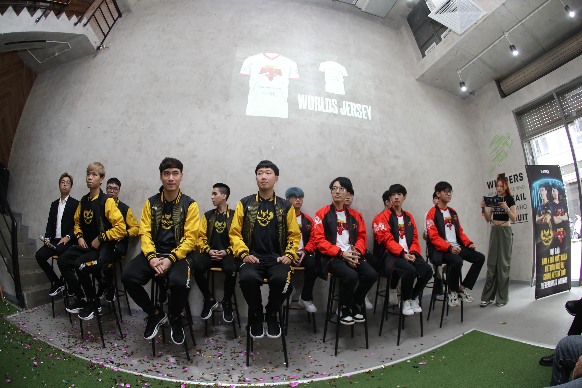 gam va sgg,  tai cktg anh 4