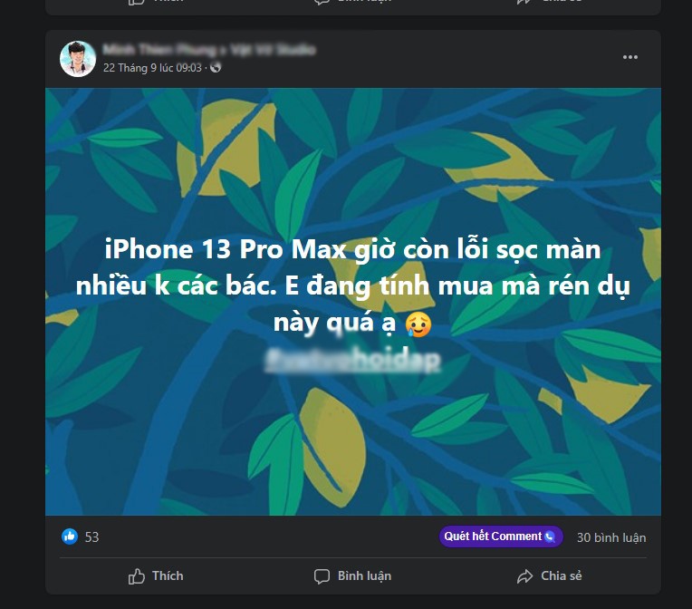 iphone 13 loi man hinh anh 3