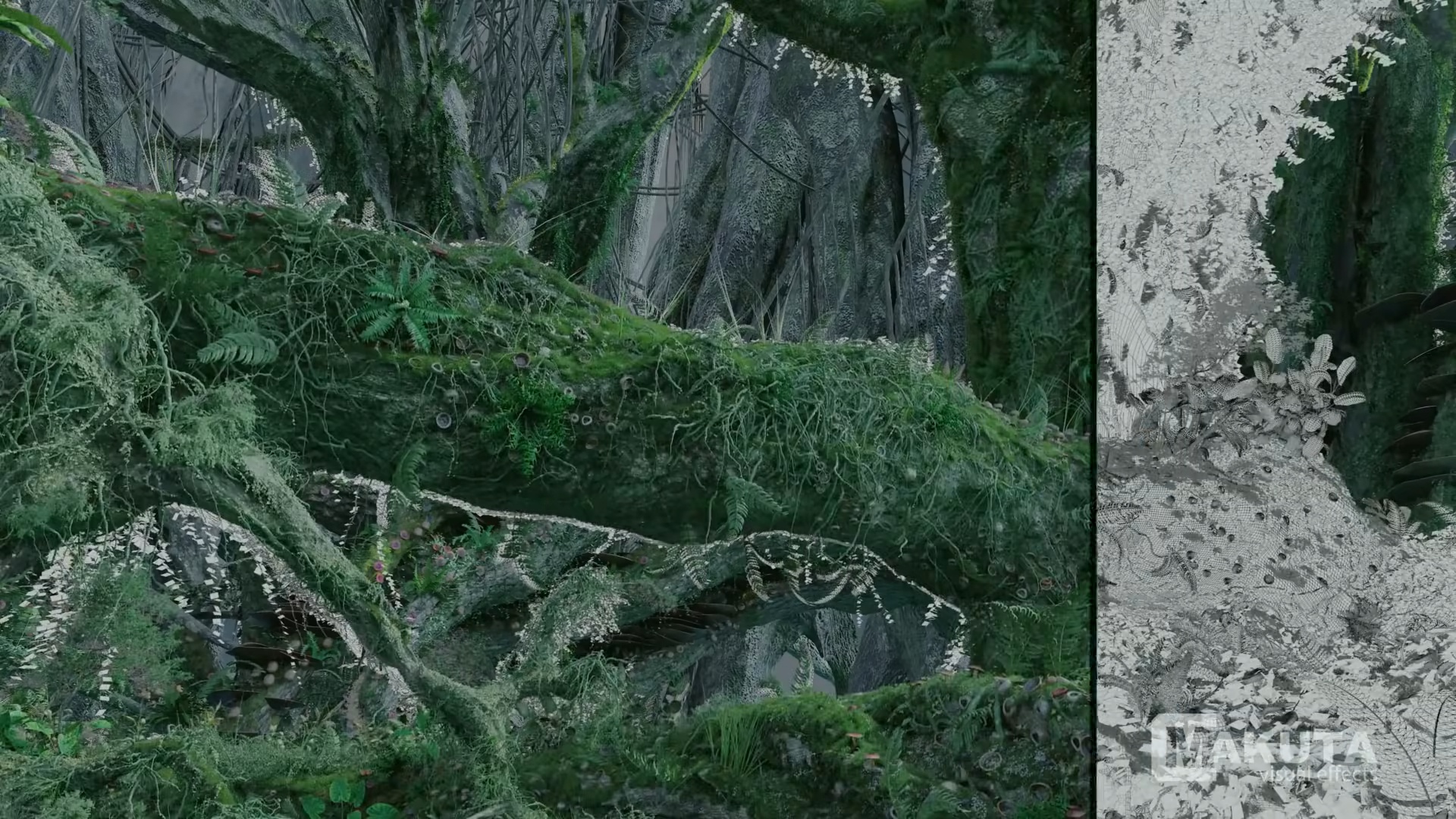 ky xao avatar 2 anh 3