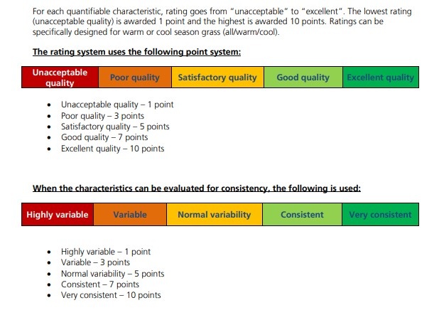 mat co san bong anh 1
