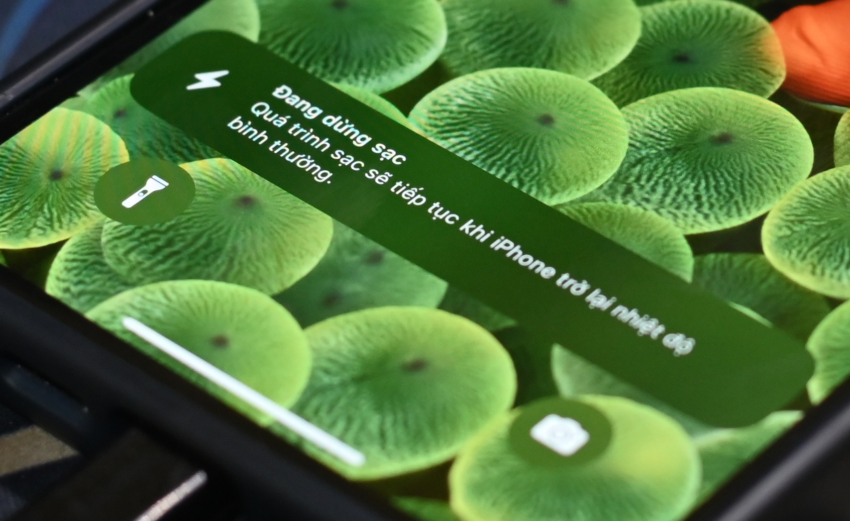 Dot song nhiet khien dien thoai sap nguon, do may hinh anh