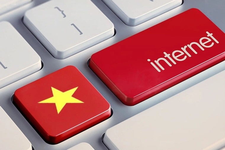 Cac truong hop bi thu hoi ten mien '.vn' hinh anh