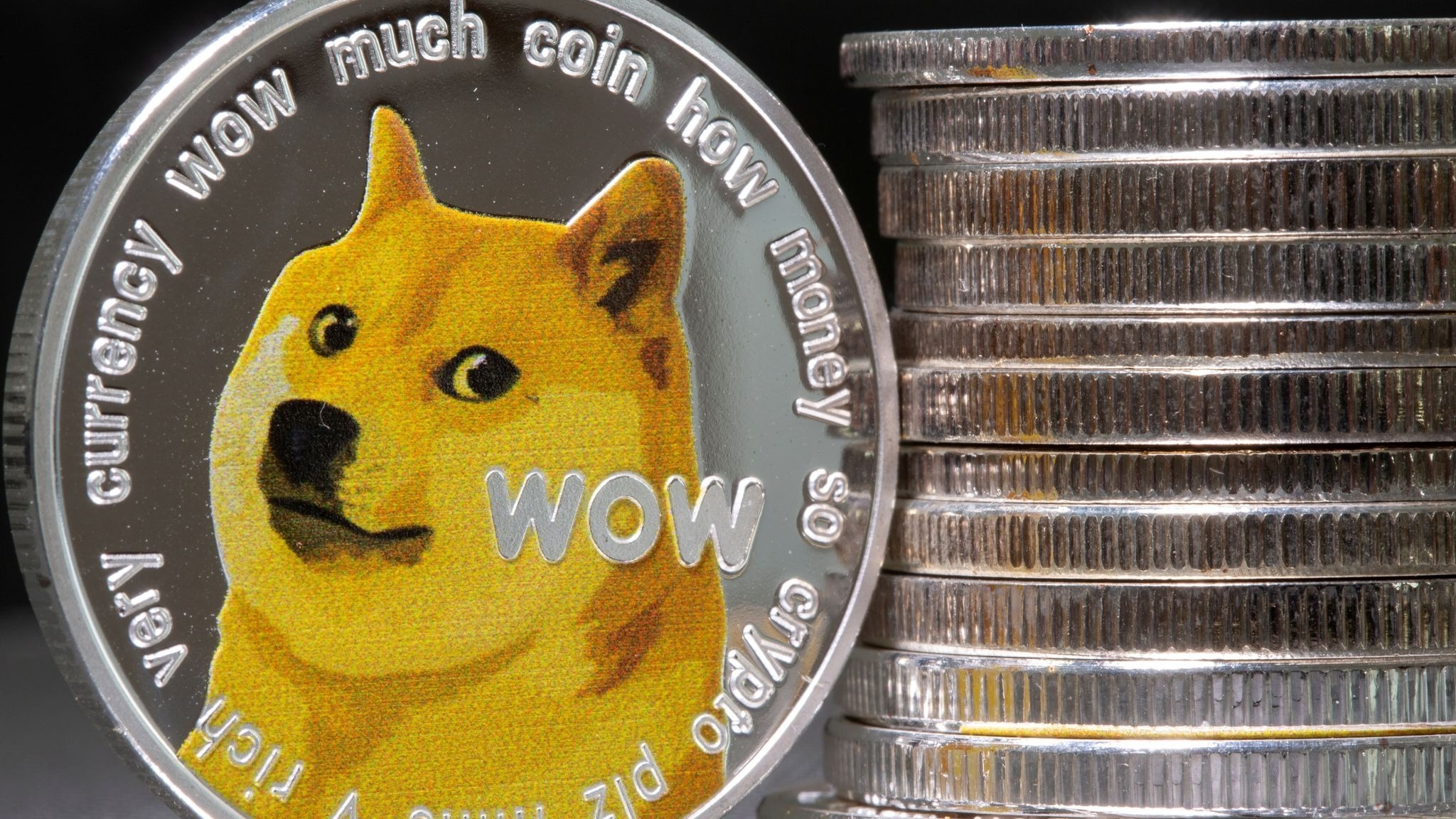 Chu cho bieu tuong cua Dogecoin qua doi hinh anh