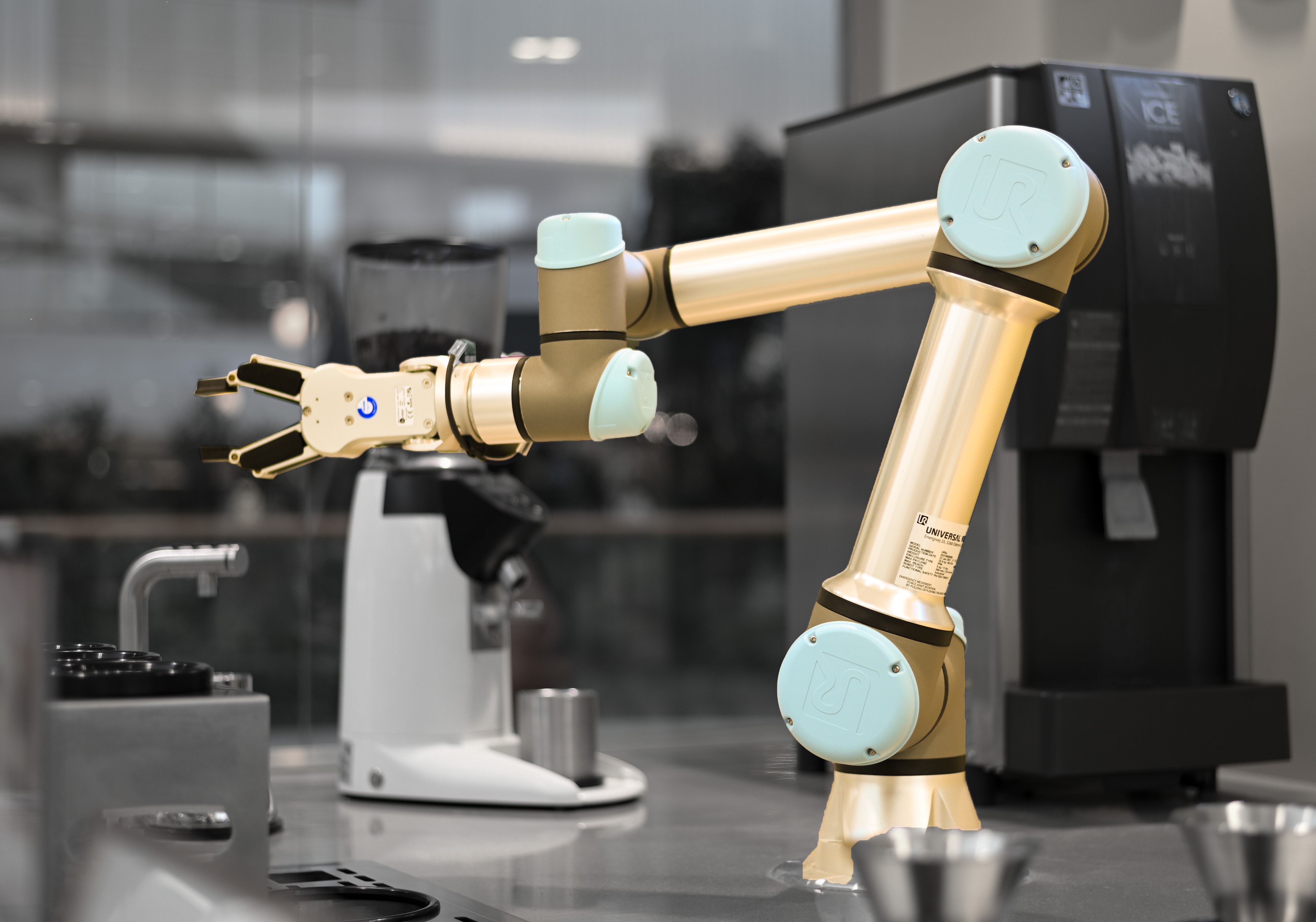 Toi thoi AI nau com, giat do hinh anh