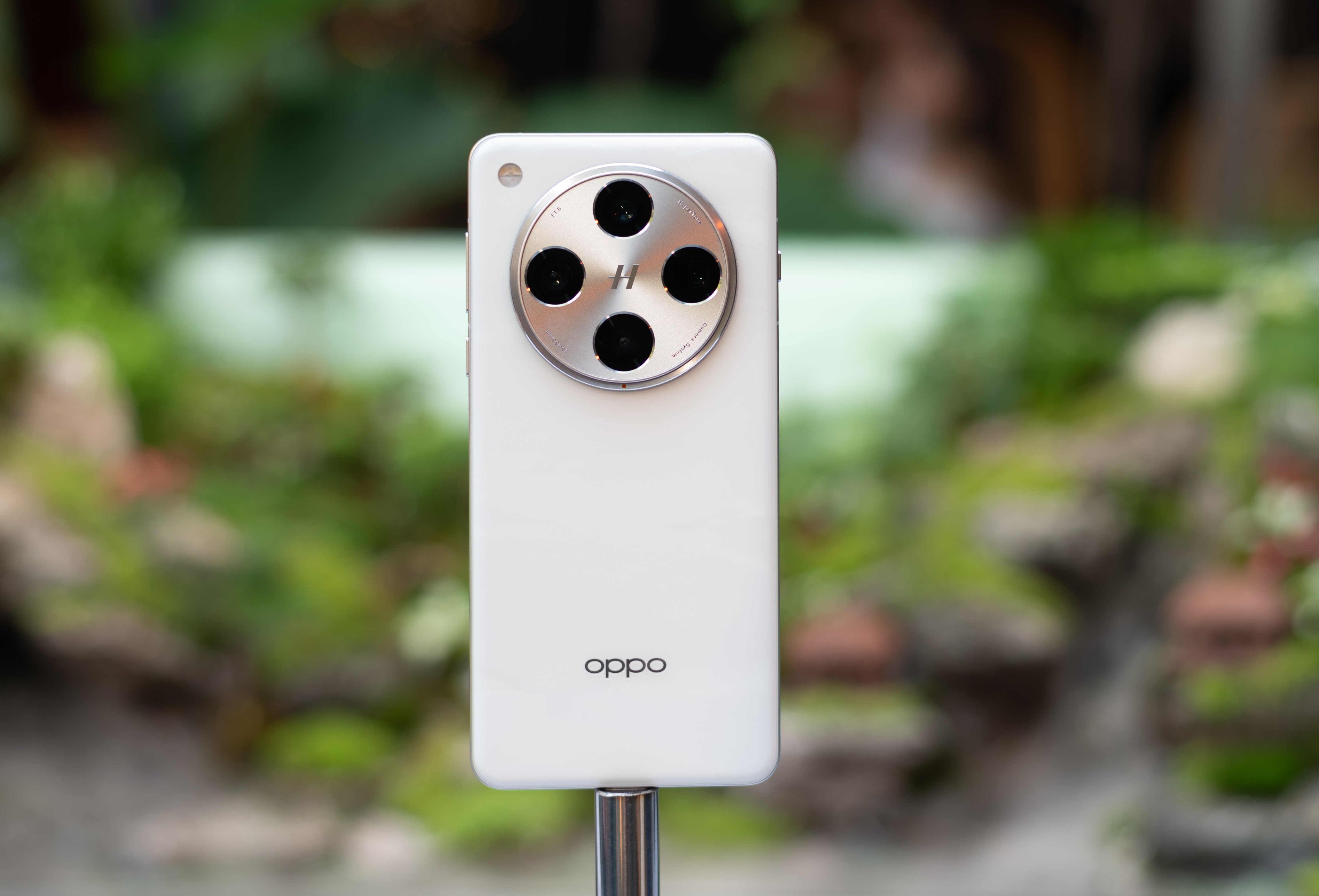 O at ra mat dien thoai de kip ban Tet hinh anh