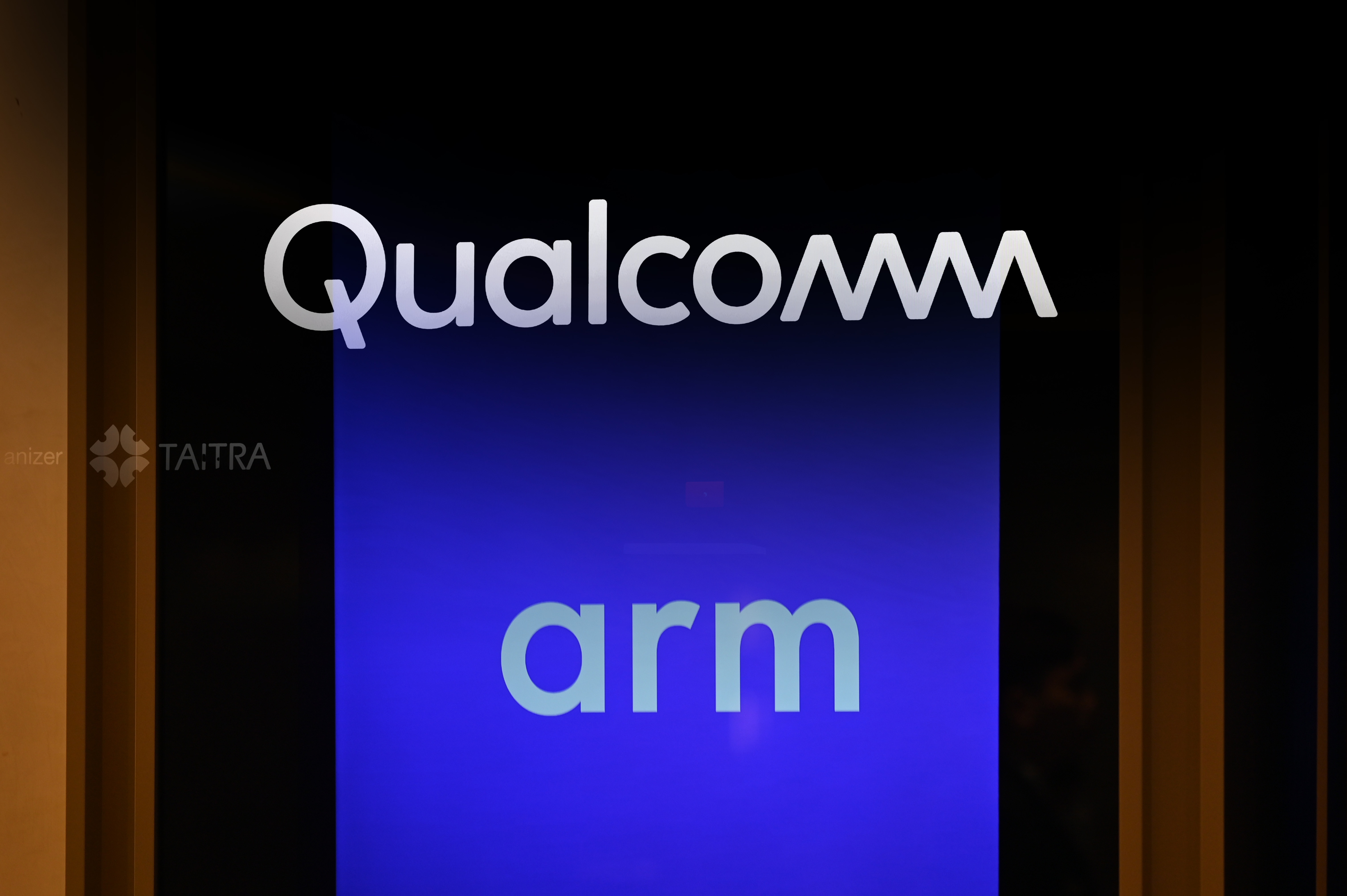 Hai ong lon nganh chip 'cach mat' nhau hinh anh