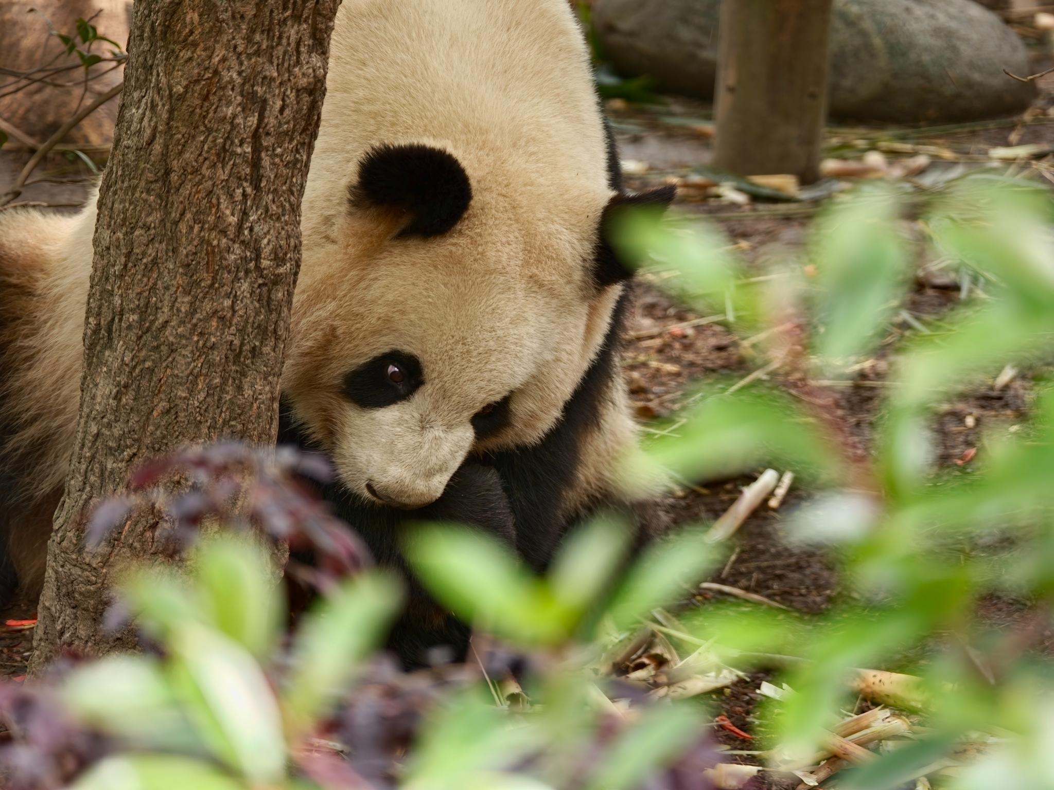 Find X9 Ultra anh 17