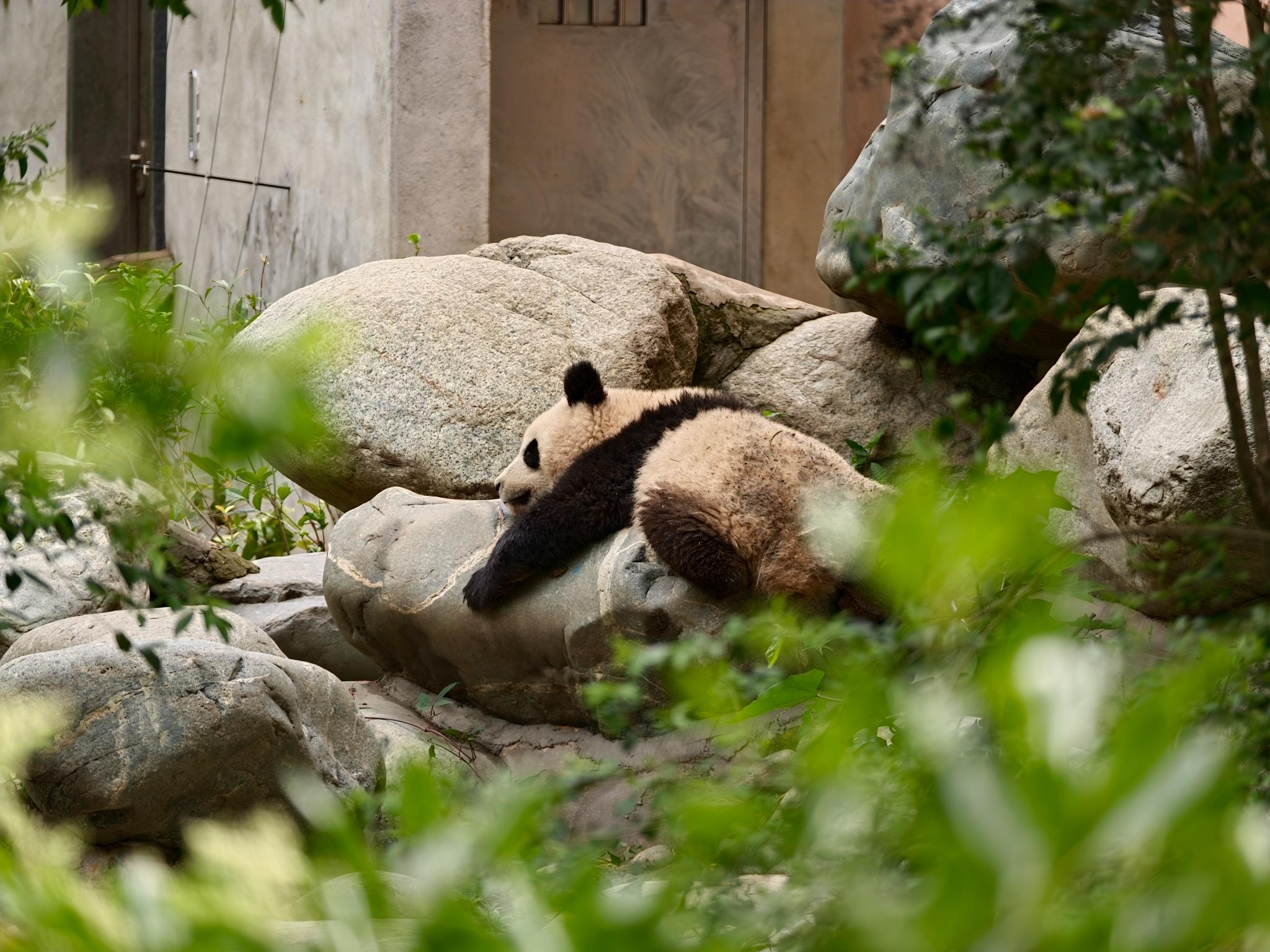 Find X9 Ultra anh 15