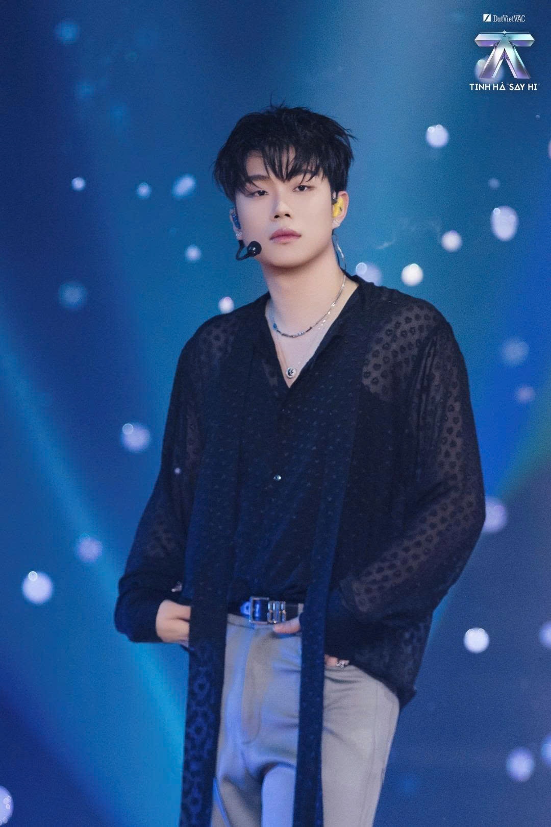 THSH ảnh 9