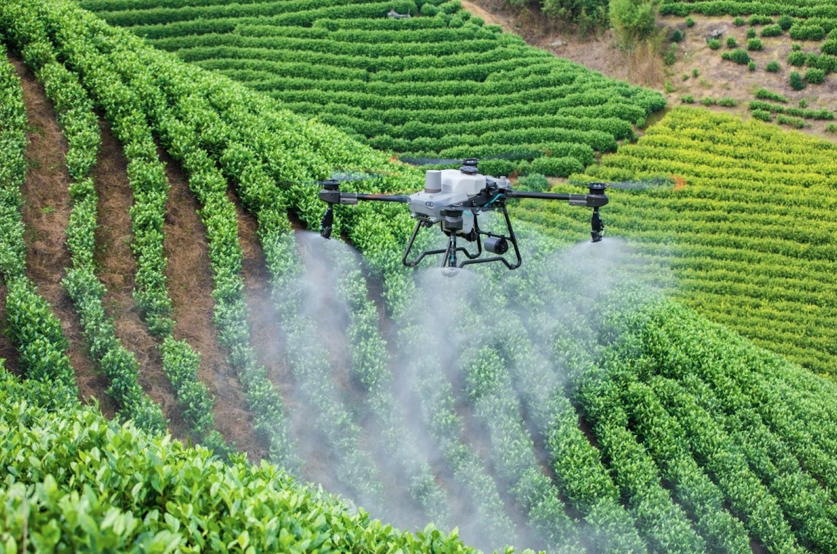 UAV anh 2