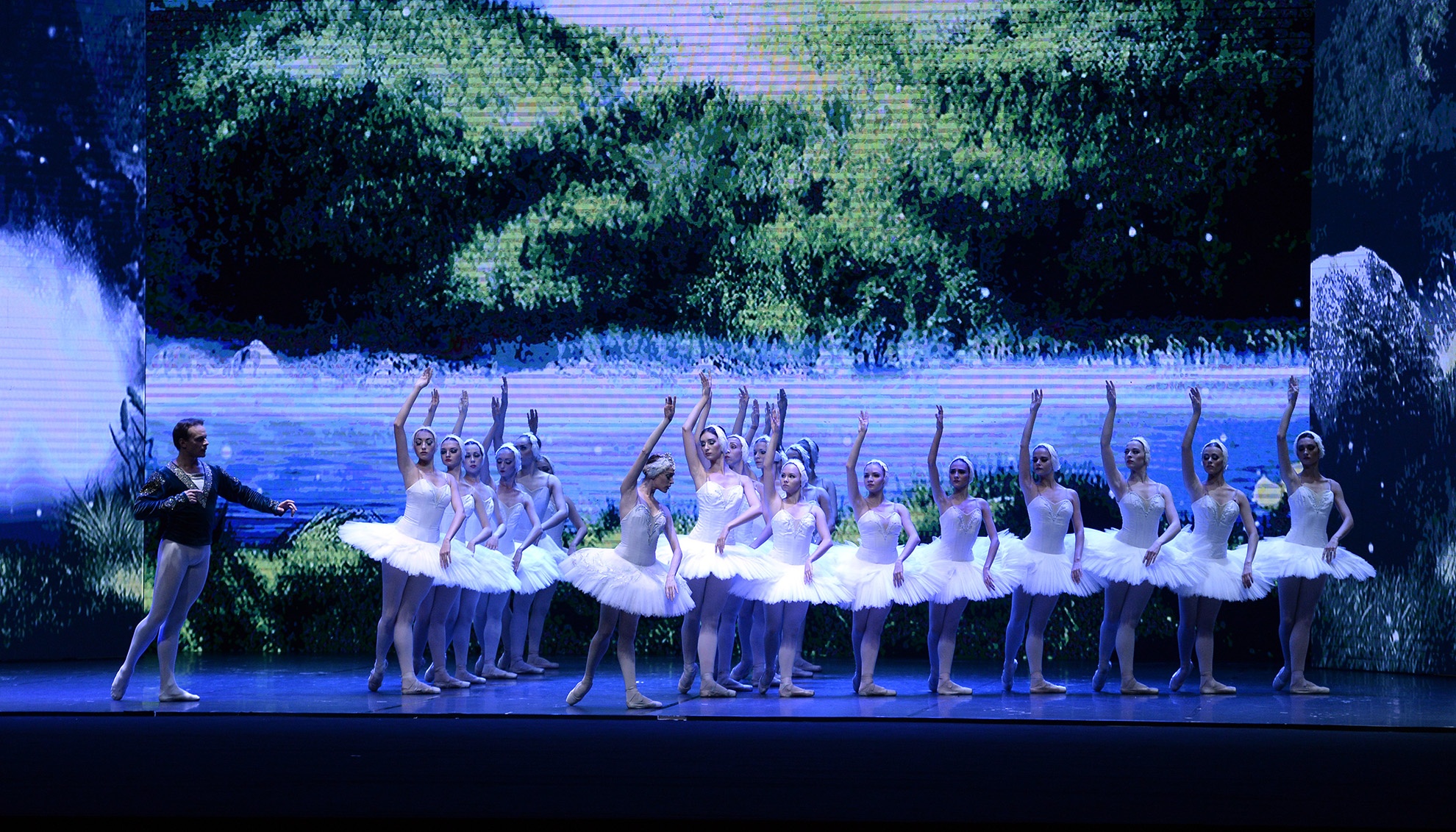 Trong chuyến đi săn cùng các cận thần, hoàng tử Siegfried đã phát hiện ra đàn thiên nga trắng muốt biến thành những thiếu nữ xinh đẹp.