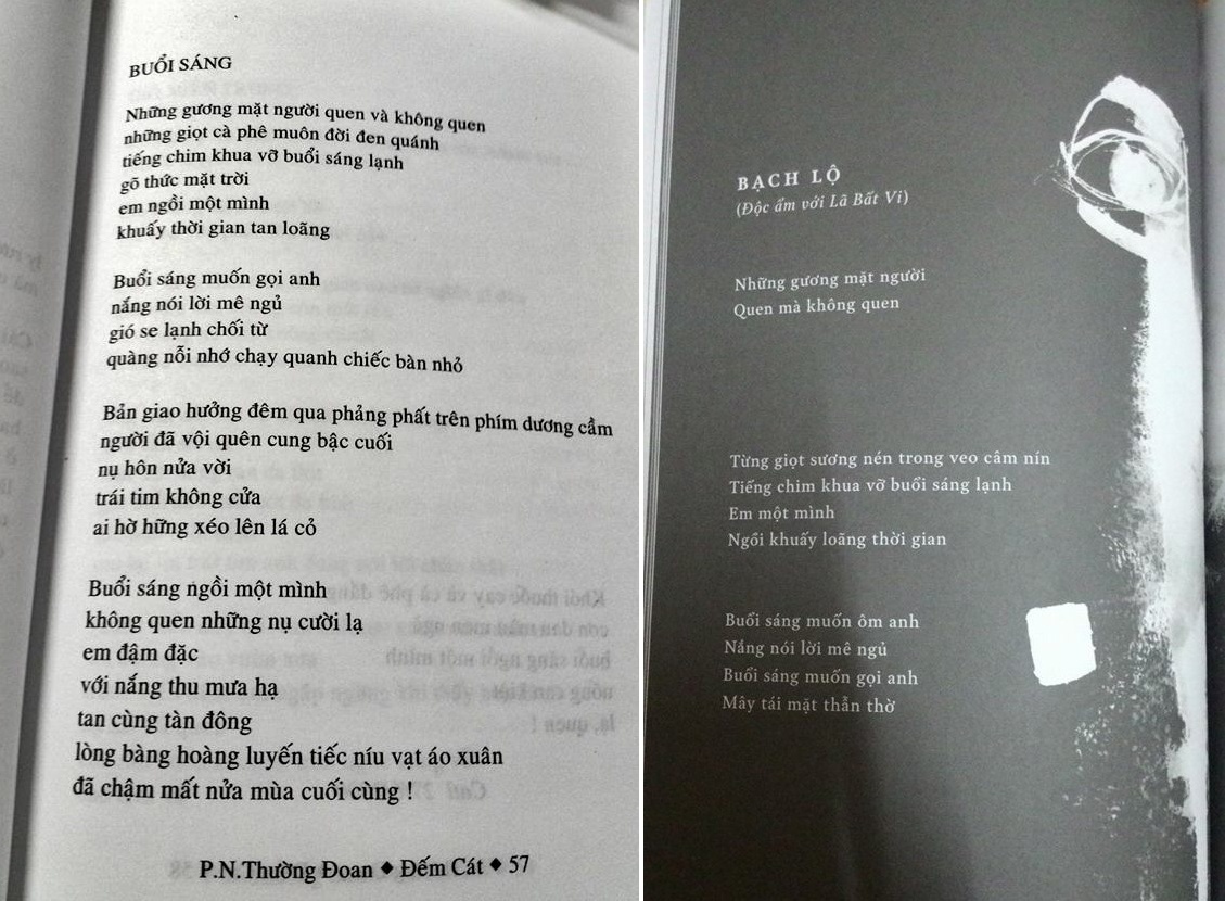 Dao tho la hoi chuong canh tinh ve tac quyen van hoc hinh anh