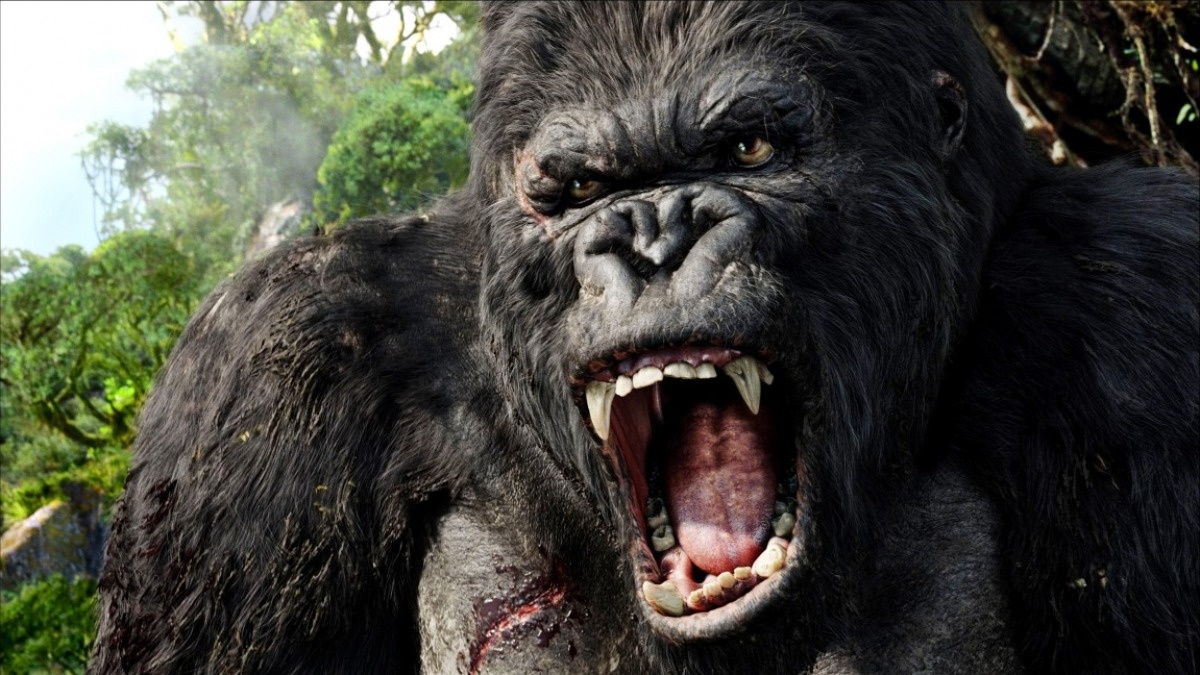 Phim 'King Kong' phan 2 chuan bi quay tai Viet Nam hinh anh