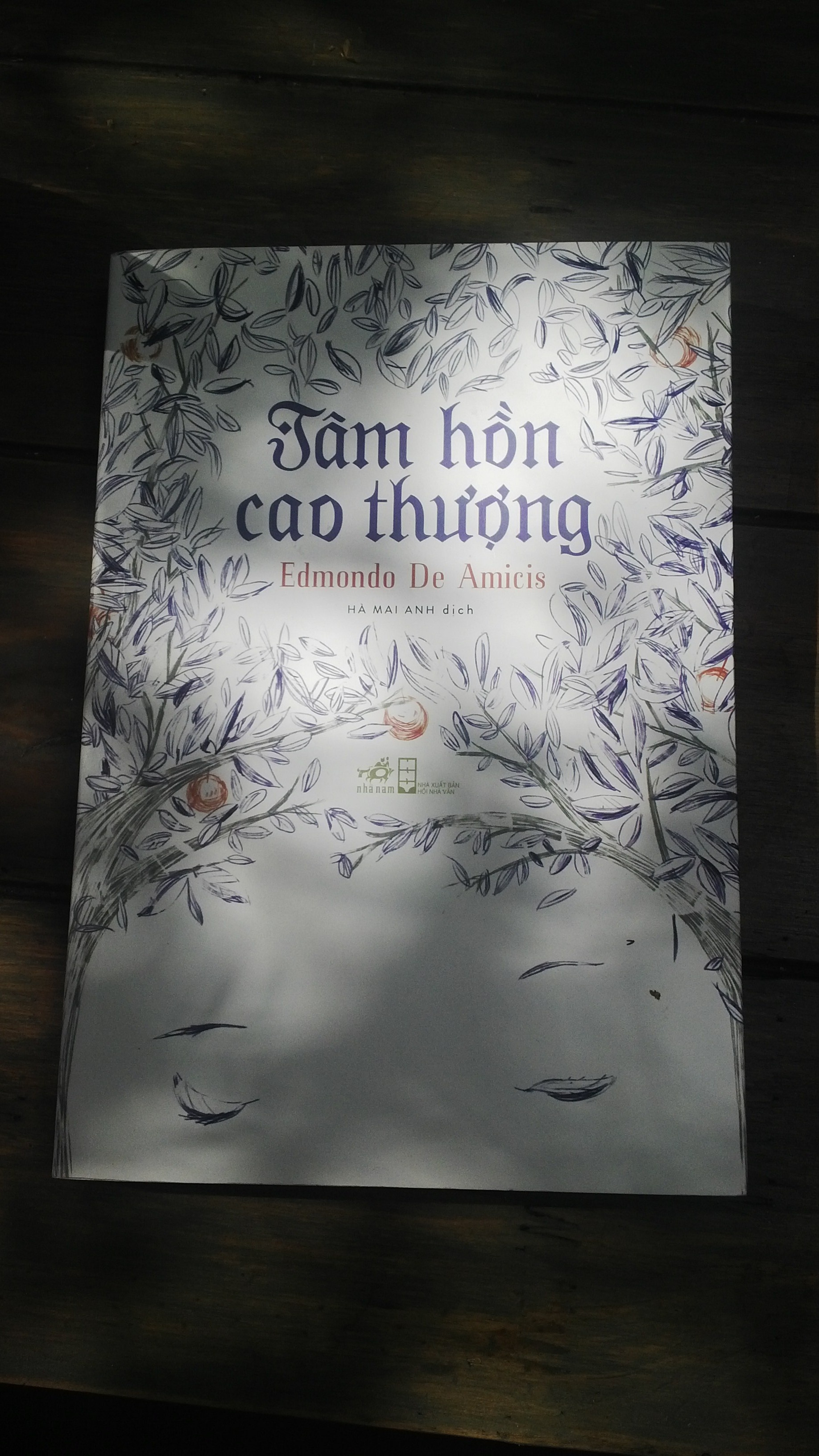 Tam hon cao thuong anh 1
