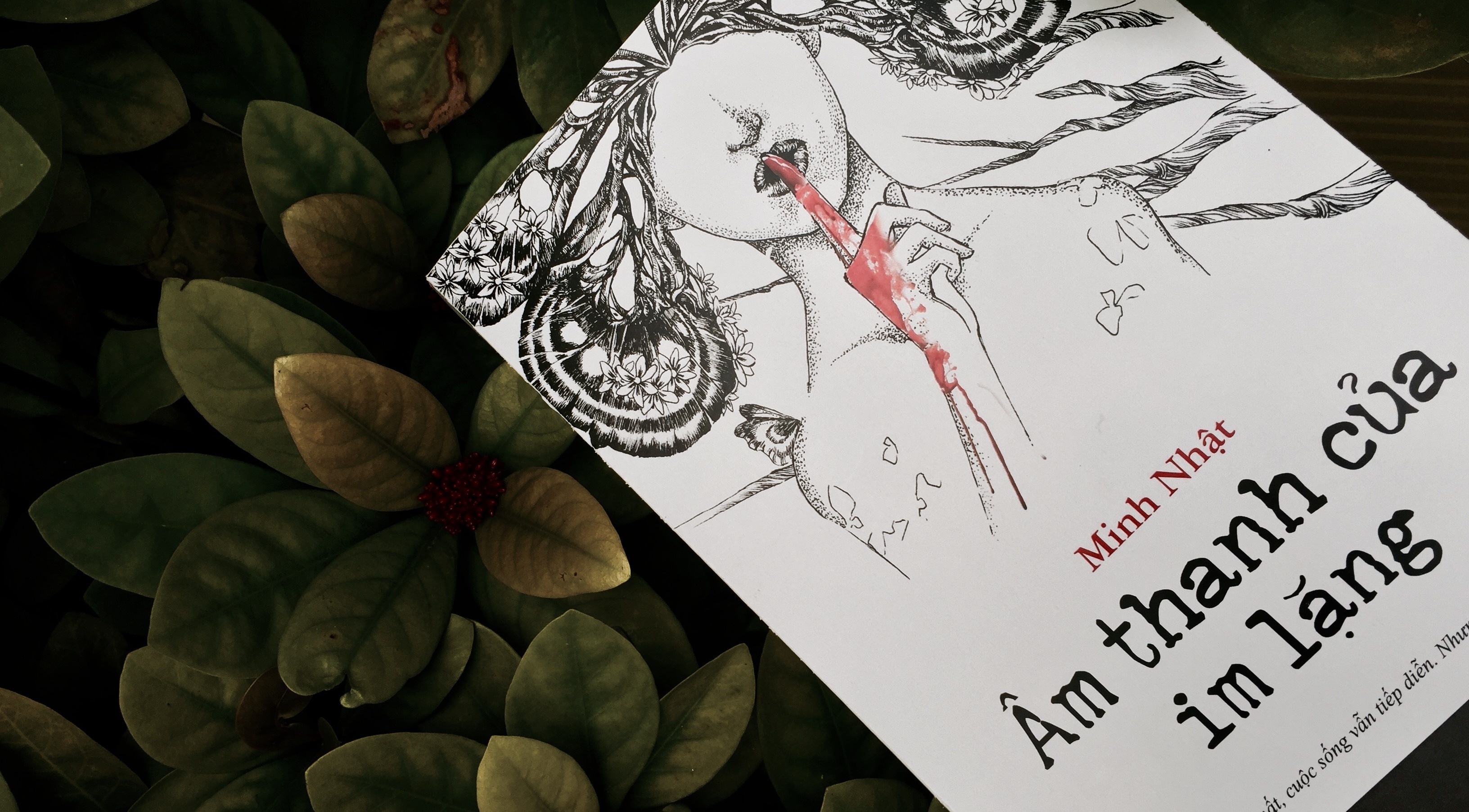 ‘Am thanh cua im lang’: Am anh va nhieu suy ngam hinh anh