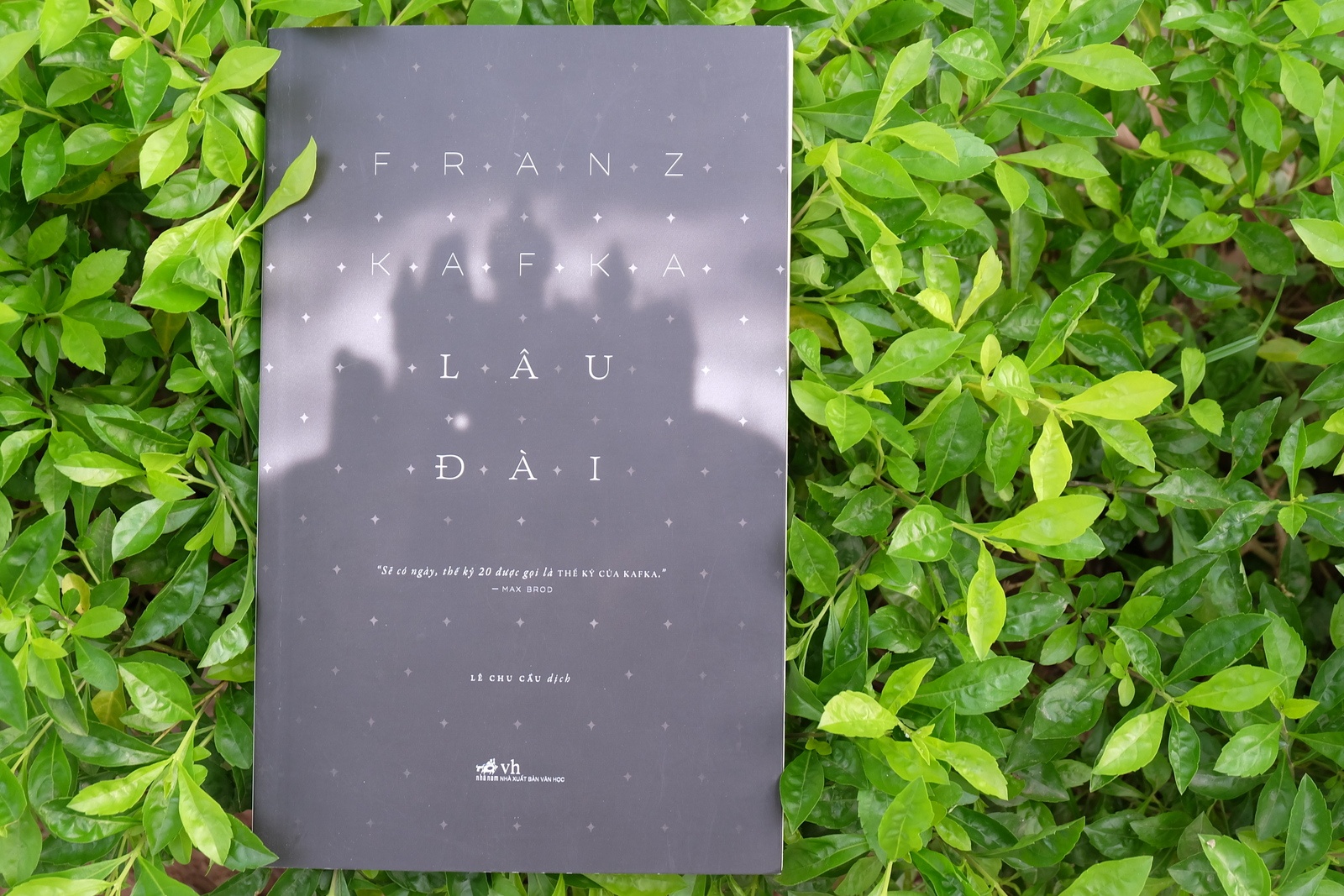 tac pham Lau dai anh 1