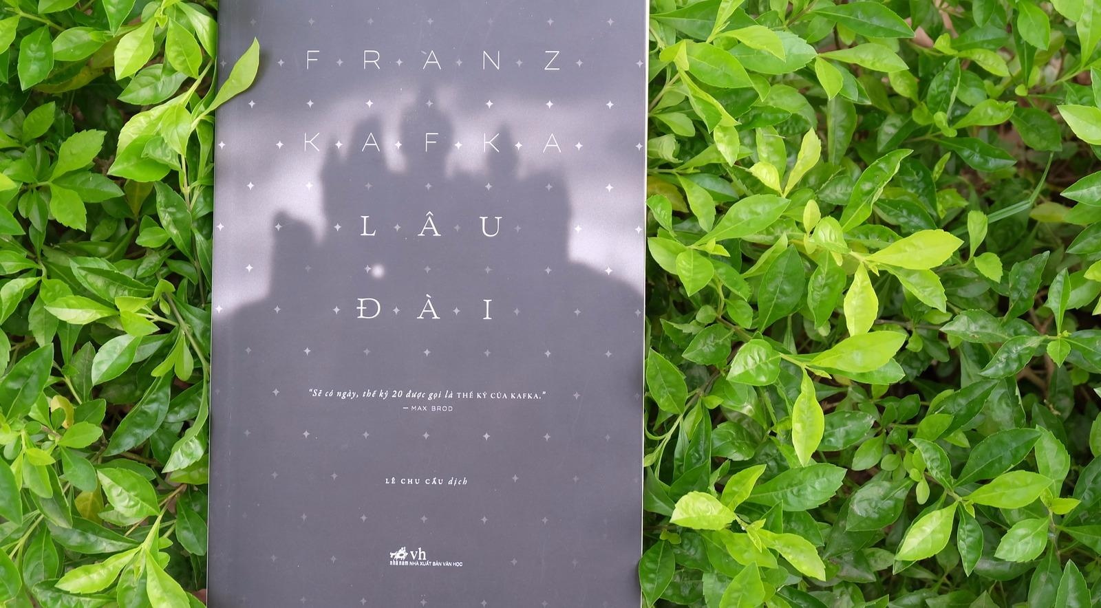 'Lau dai' va su vo tri cua con nguoi trong doi song hinh anh