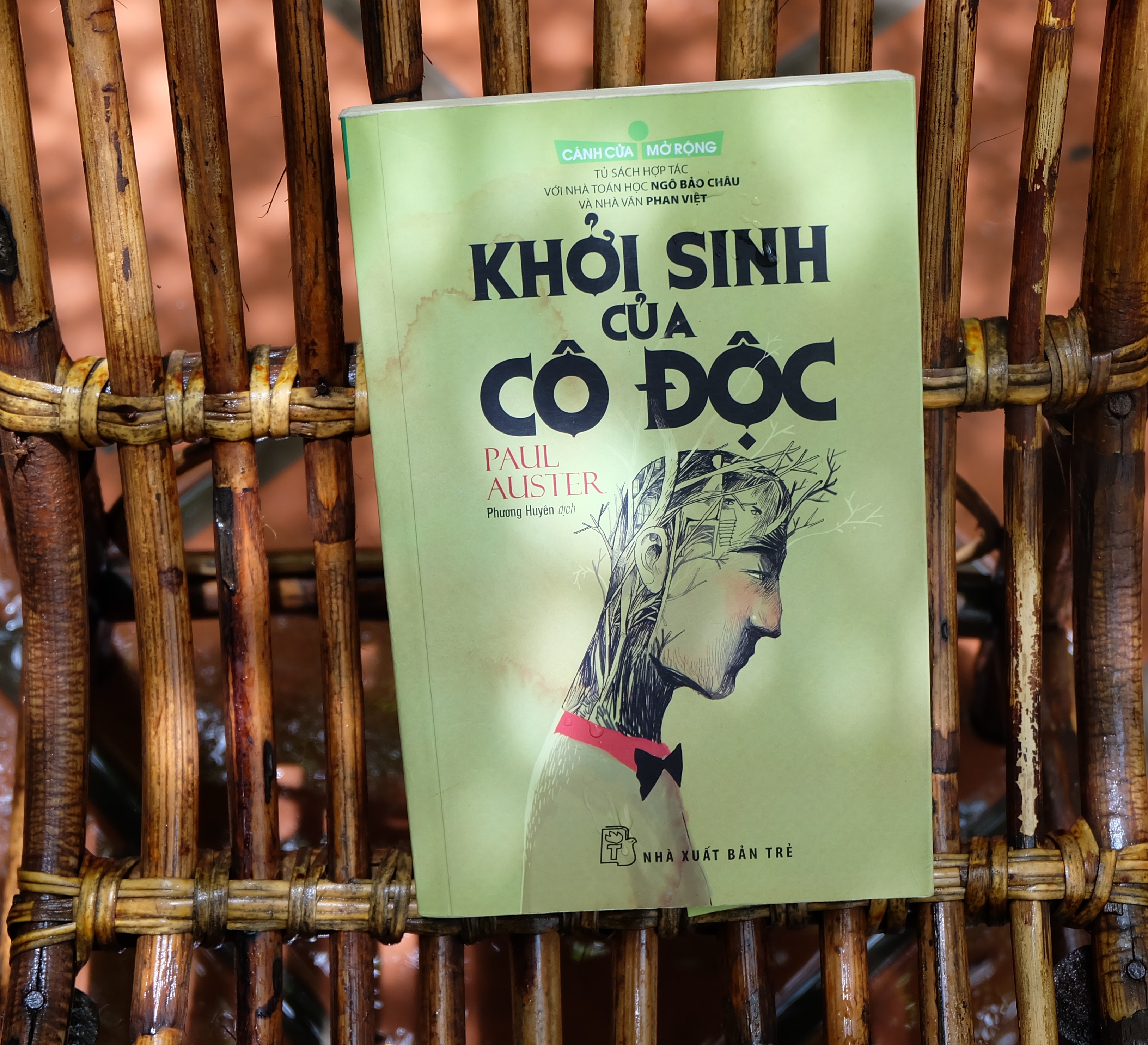 khoi sinh cua co doc va van paul auster anh 1