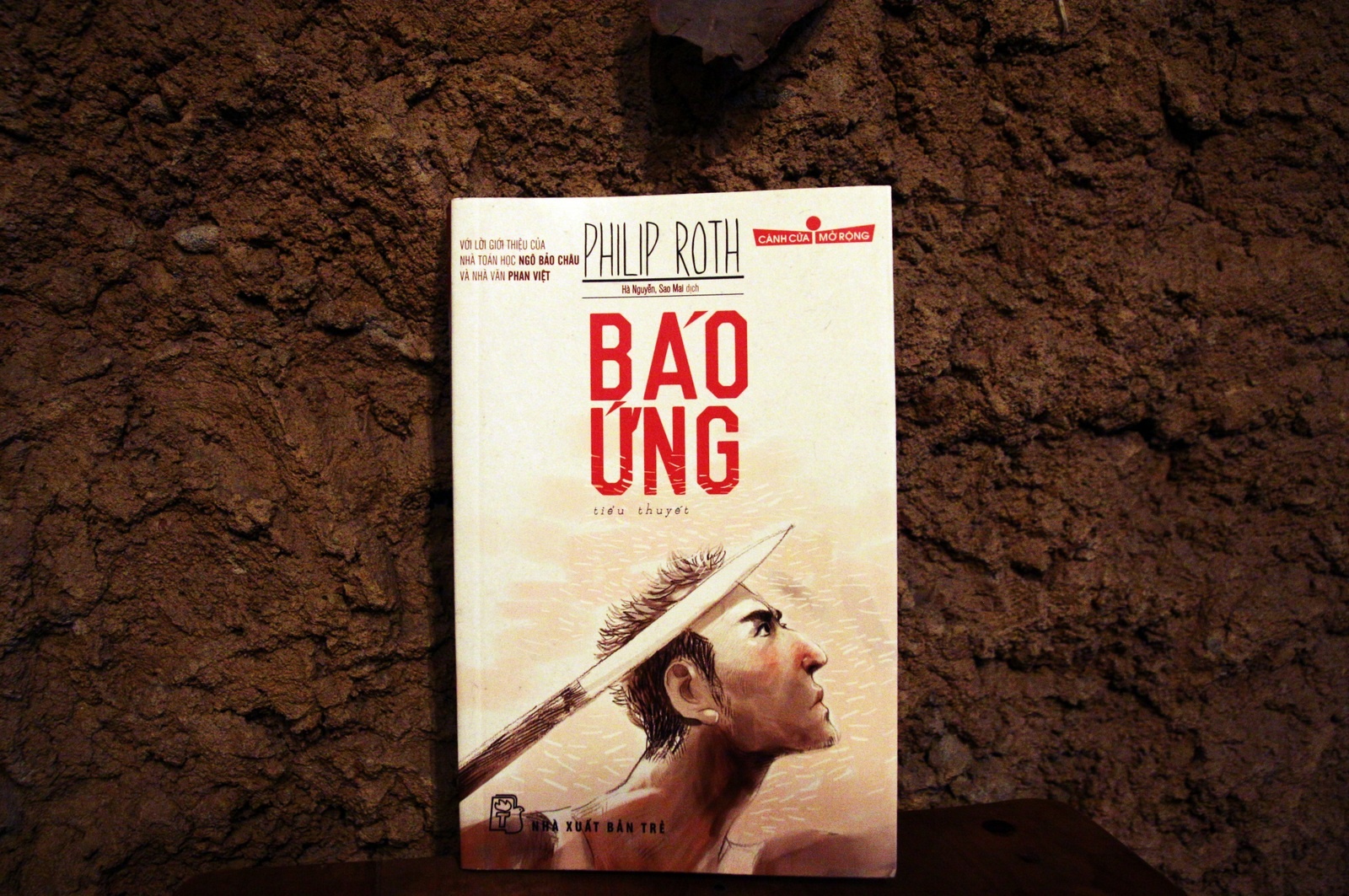 tieu thuyet ve noi bi thuong doi nguoi anh 1