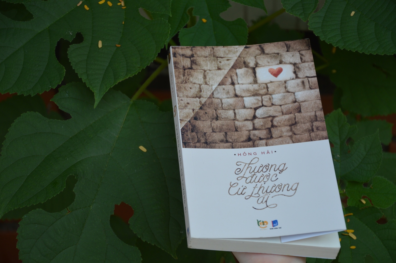 sach ve gia tri lam nguoi anh 1