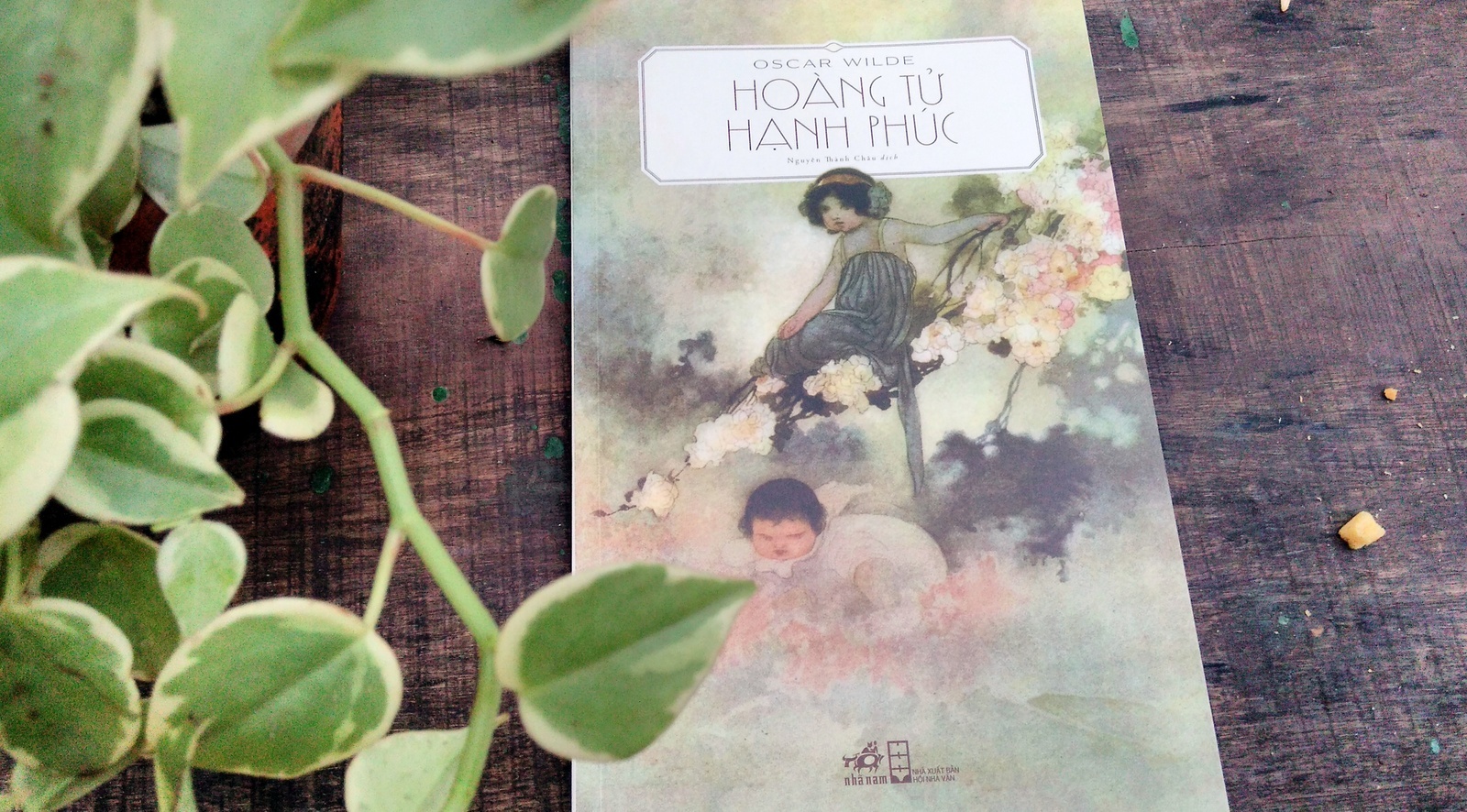 The gioi co tich u sau dep de cua Oscar Wilde hinh anh