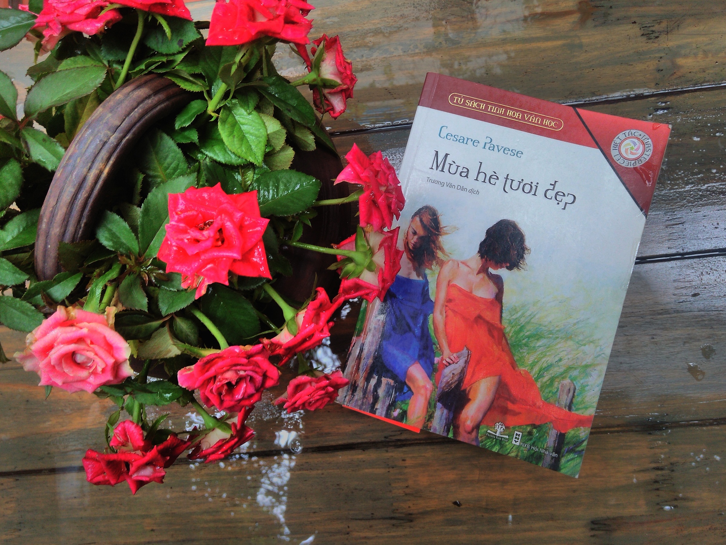 Mùa hè tươi đẹp ảnh 1 Mua he tuoi dep anh 1