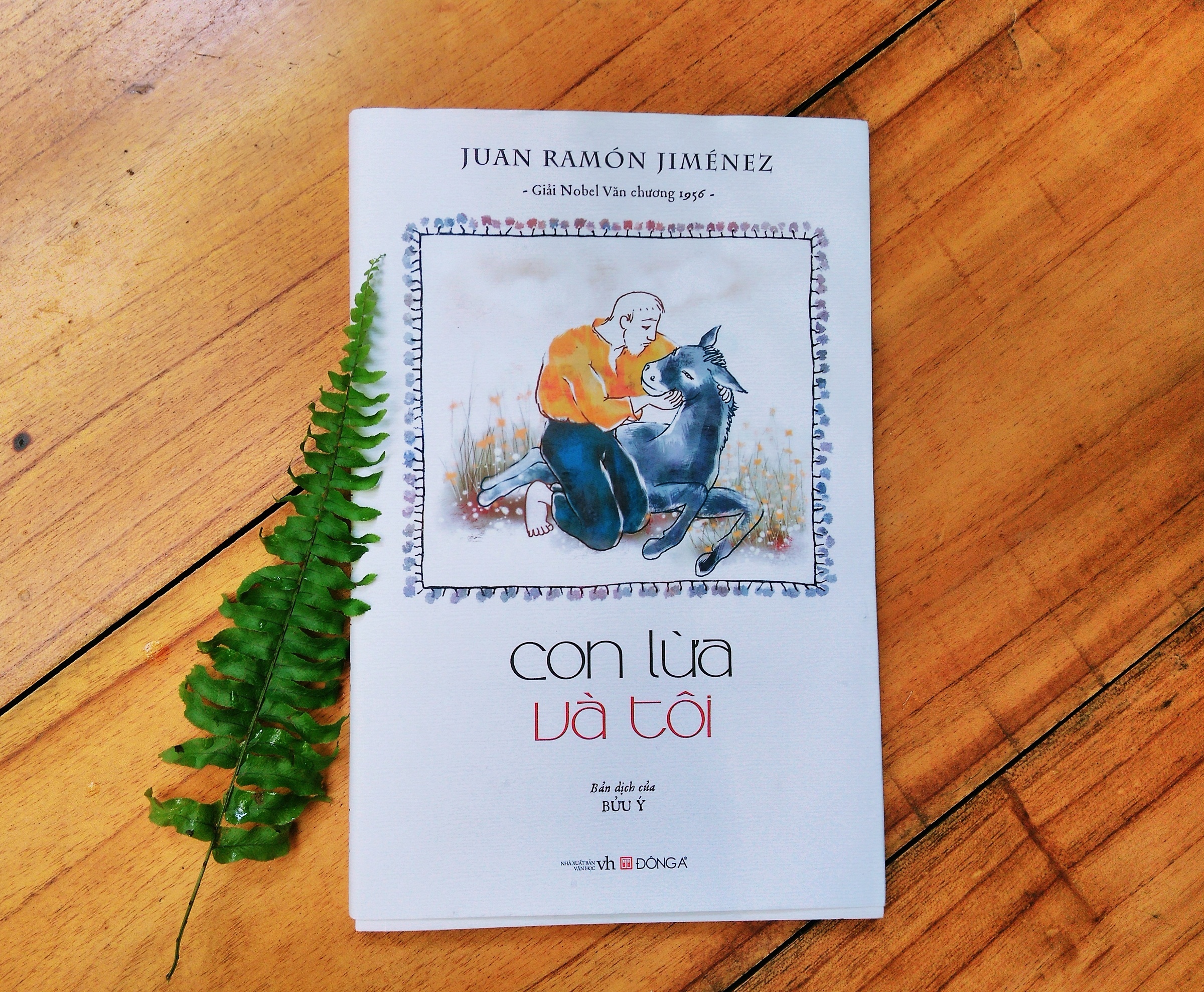 Con lua va toi anh 1