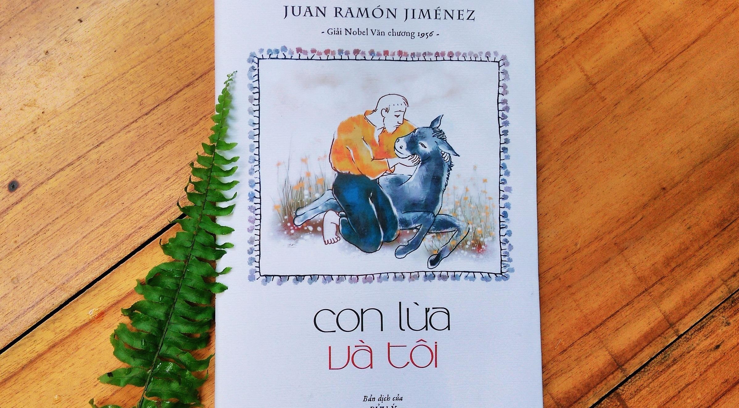 'Con lua va toi': Mot noi buon thuan khiet va tho mong hinh anh