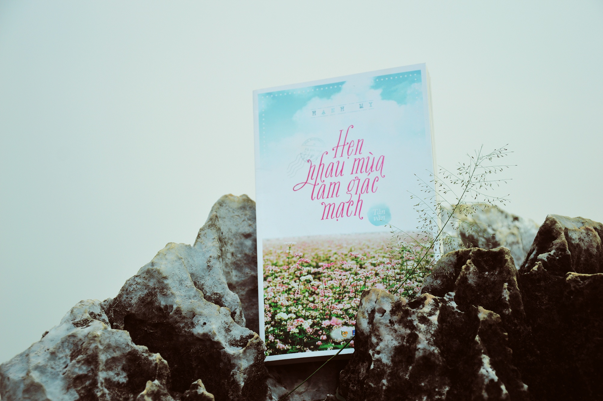 Hẹn nhau mùa tam giác mạch ảnh 1 Hen nhau mua tam giac mach anh 1