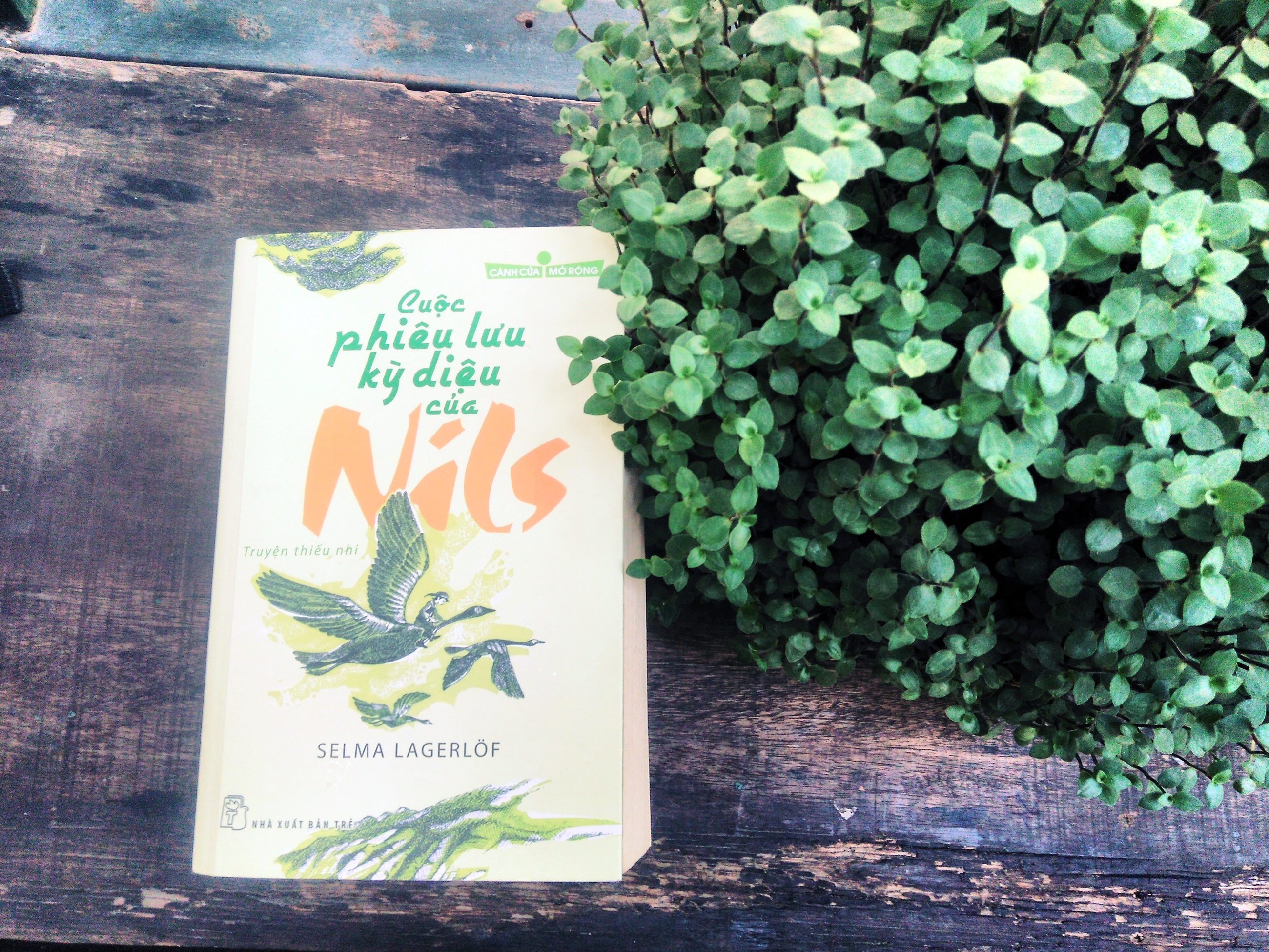 cuoc phieu luu ky dieu cua Nils anh 1