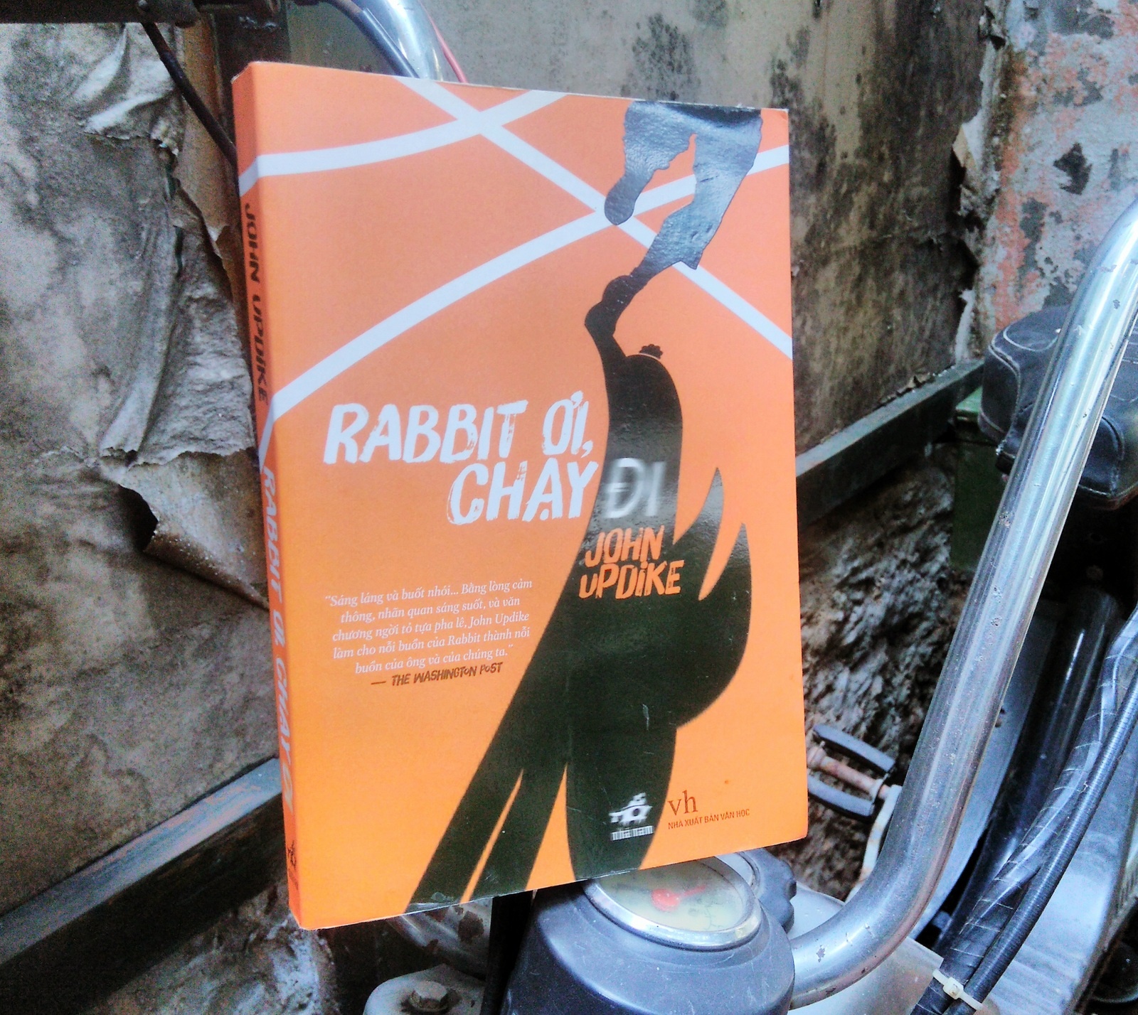 Rabbit oi,  chay di anh 1