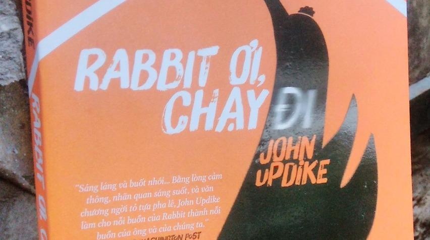 'Rabbit oi, chay di': Vong tron kiem tim va mat mat hinh anh