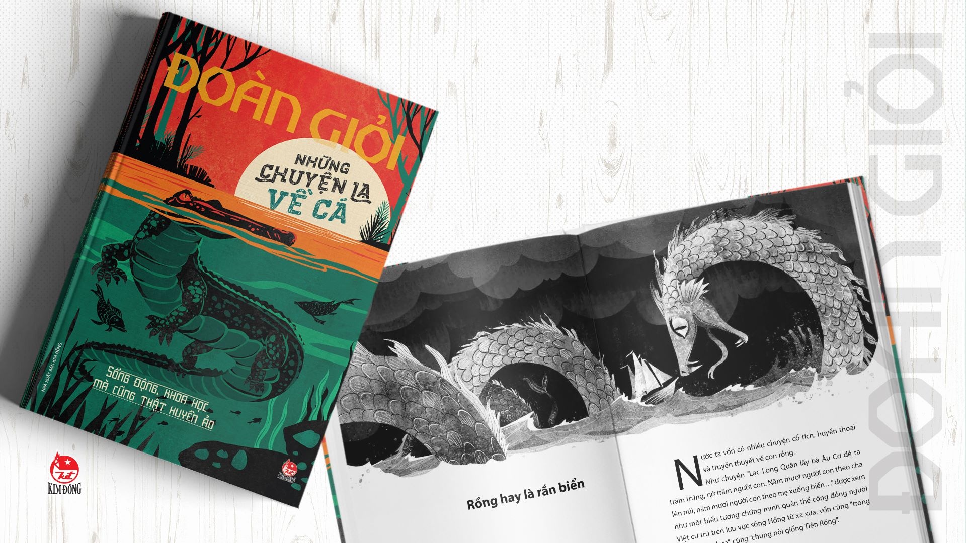 Đoàn Giỏi và Đất rừng phương nam ảnh 3 Doan Gioi va Dat rung phuong nam anh 3