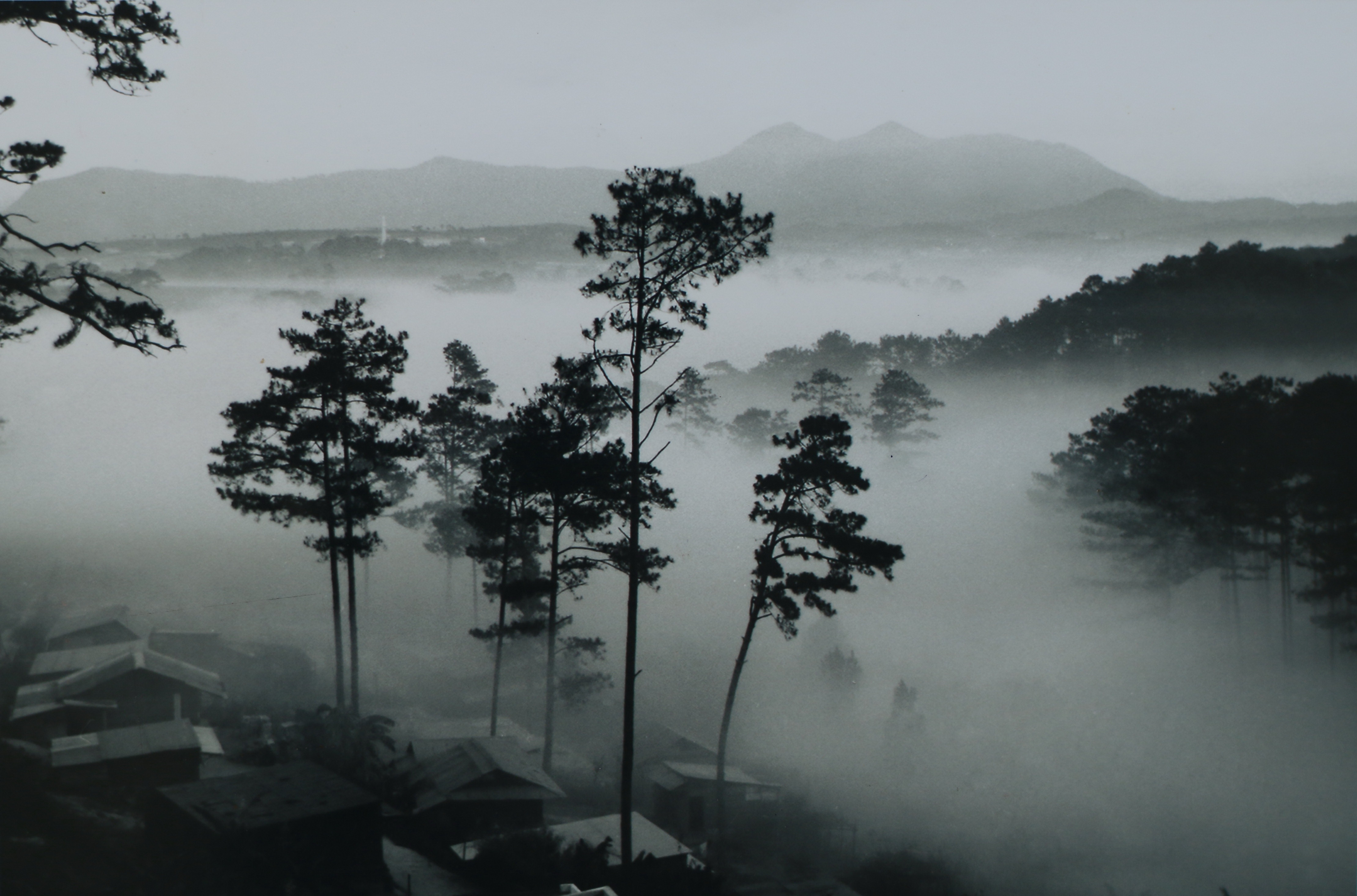 Mot Da Lat mong mo va tao nha qua anh tu lieu hinh anh