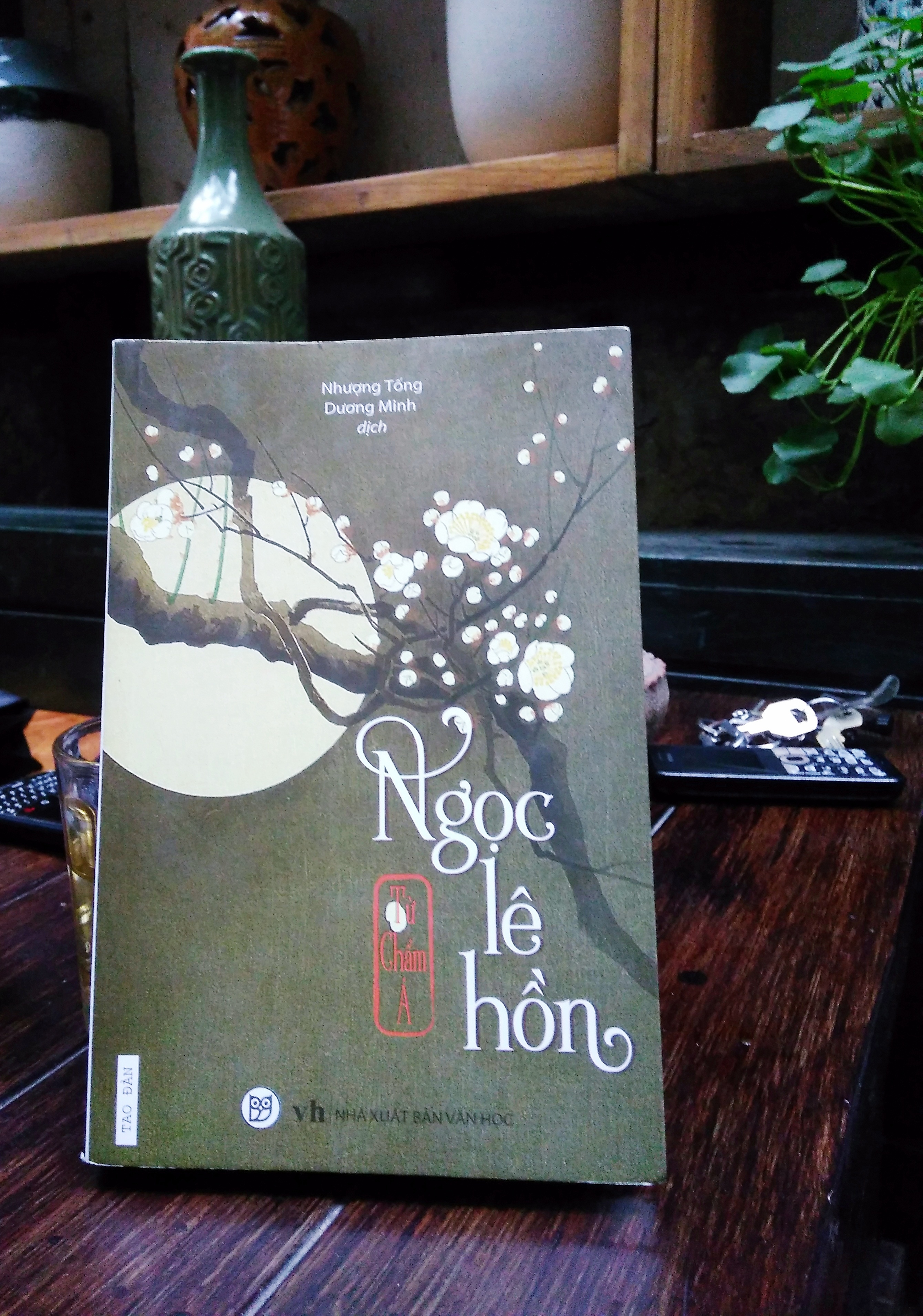 tieu thuyet uyen uong ho diep anh 1