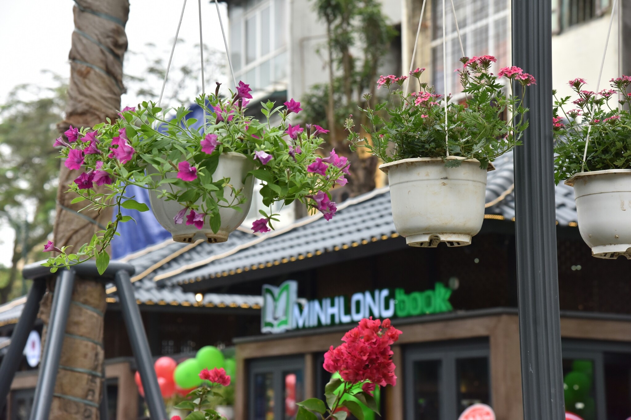 khai truong pho sach Ha Noi anh 10