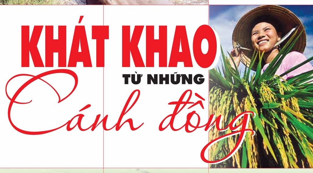 ‘Khat khao tu nhung canh dong’ - cam nang lam giau cua nha nong hinh anh