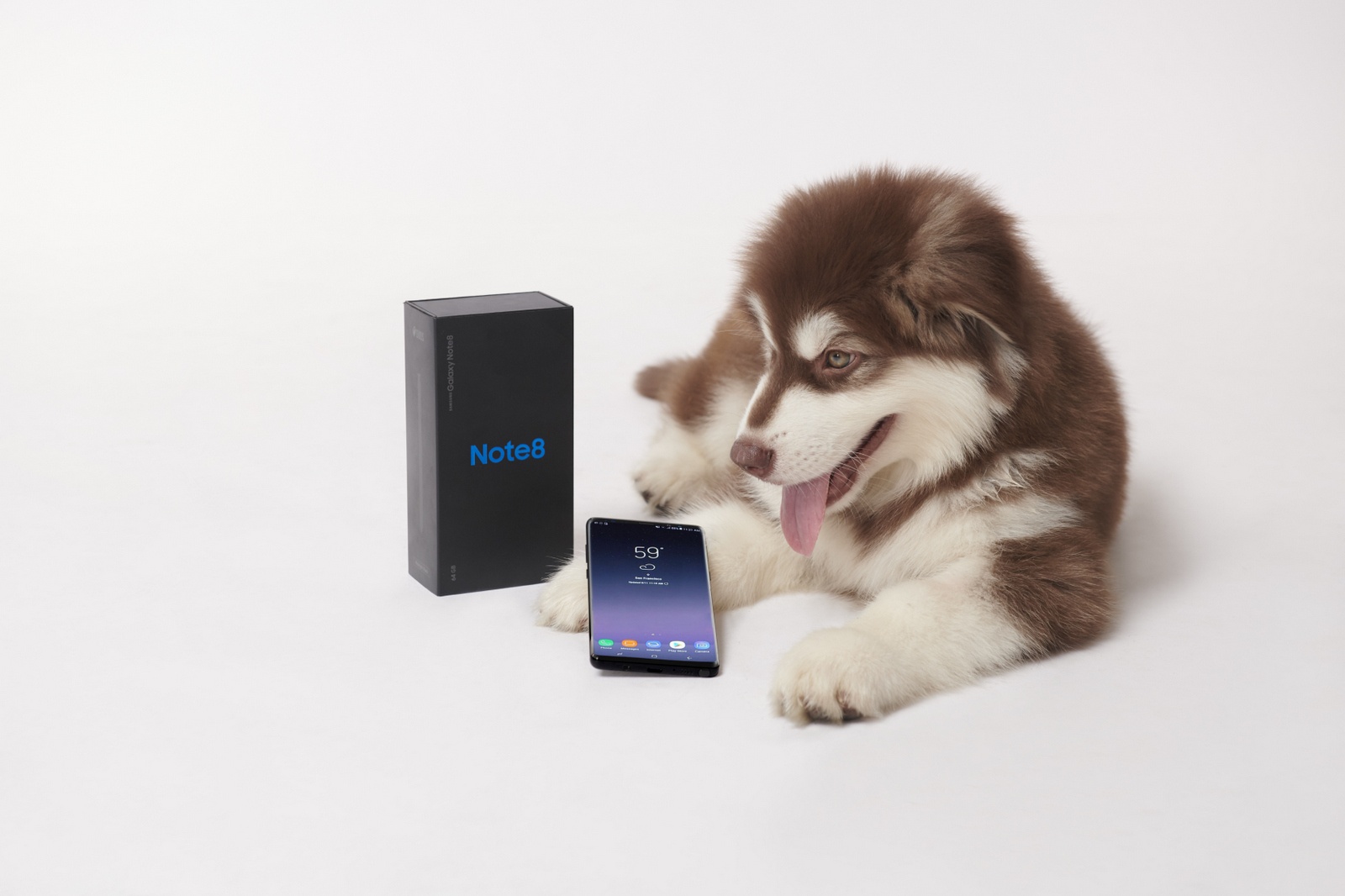 chọn quà Valentine từ Tiki ảnh 2 chon qua Valentine tu Tiki anh 2