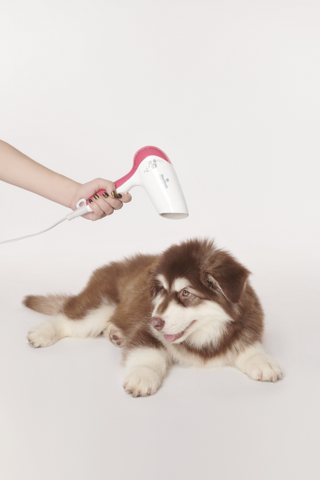 chọn quà Valentine từ Tiki ảnh 5 chon qua Valentine tu Tiki anh 5