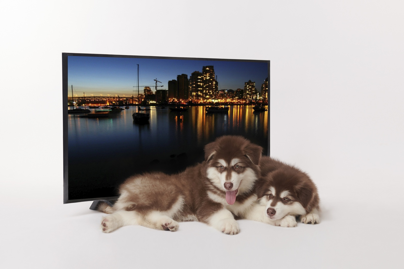 chọn quà Valentine từ Tiki ảnh 6 chon qua Valentine tu Tiki anh 6