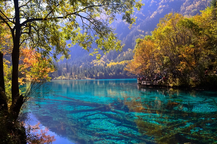 Cuu Trai Cau: sac mau thien duong giua chon nhan gian hinh anh