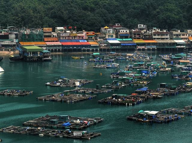 Lang thang Hong Kong nhu trong phim TVB hinh anh