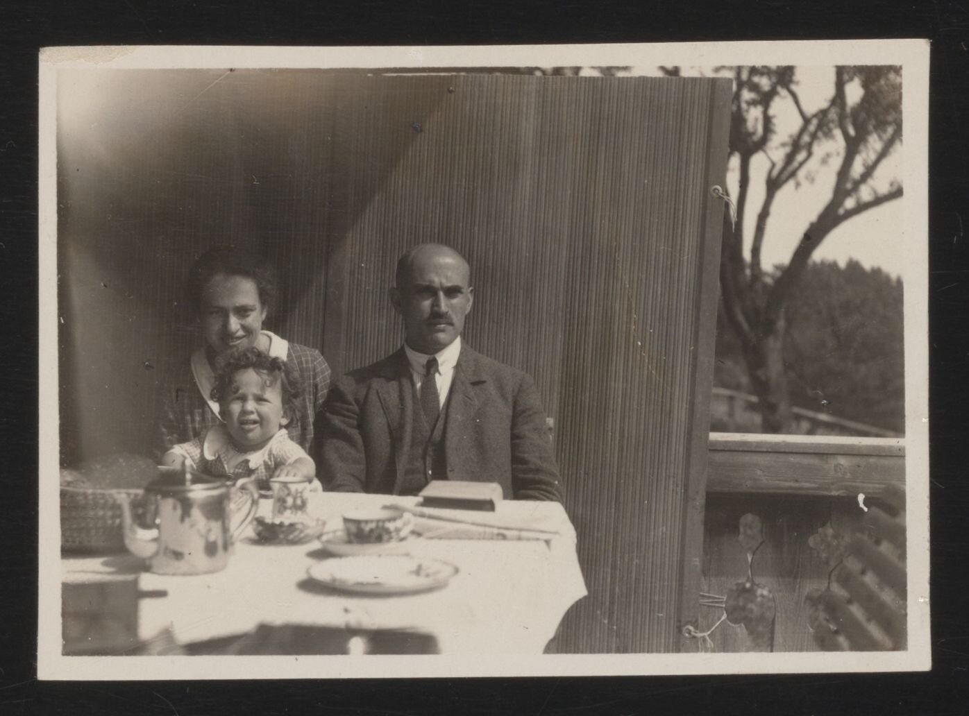 Van Gogh Metropolitan,  tranh Van Gogh cướp,  kiện bảo tàng,  Olive Picking đánh cắp ảnh 3 Van Gogh Metropolitan,  tranh Van Gogh cuop,  kien bao tang,  Olive Picking danh cap anh 3