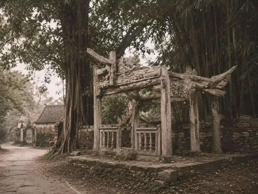 Tan Chi,  Le Giang,  COME MY WAY,  cong lang,  Viet Nam anh 1