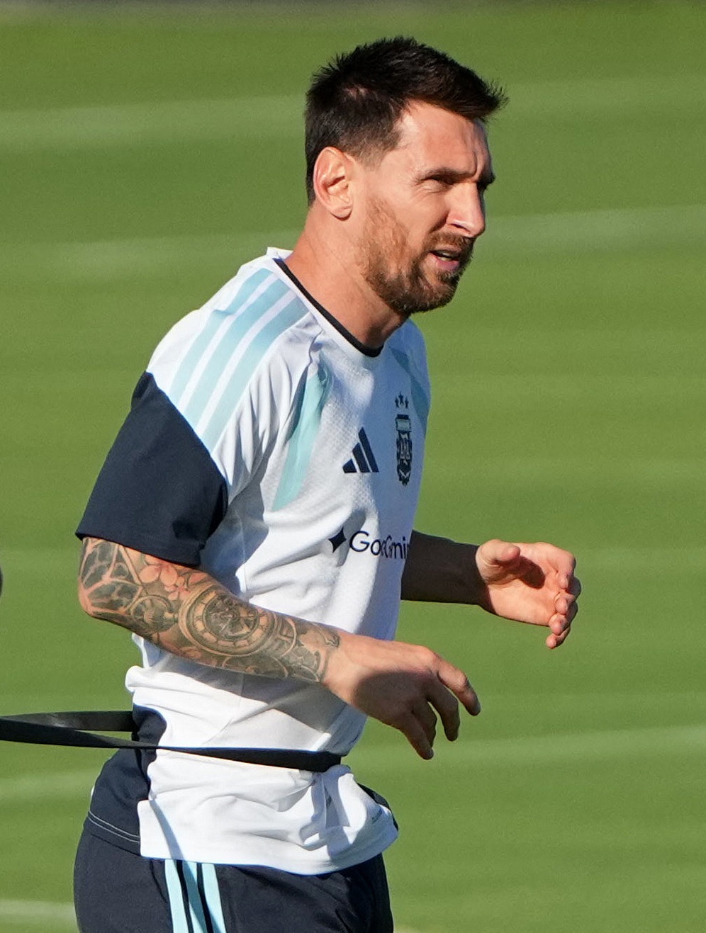 Ronaldo,  HLV,  World Cup anh 3