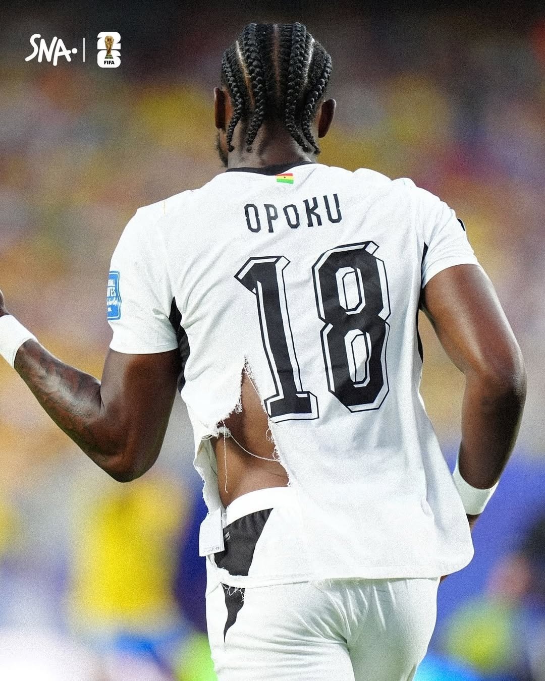 world cup,  puma,  ao dau, anh 6